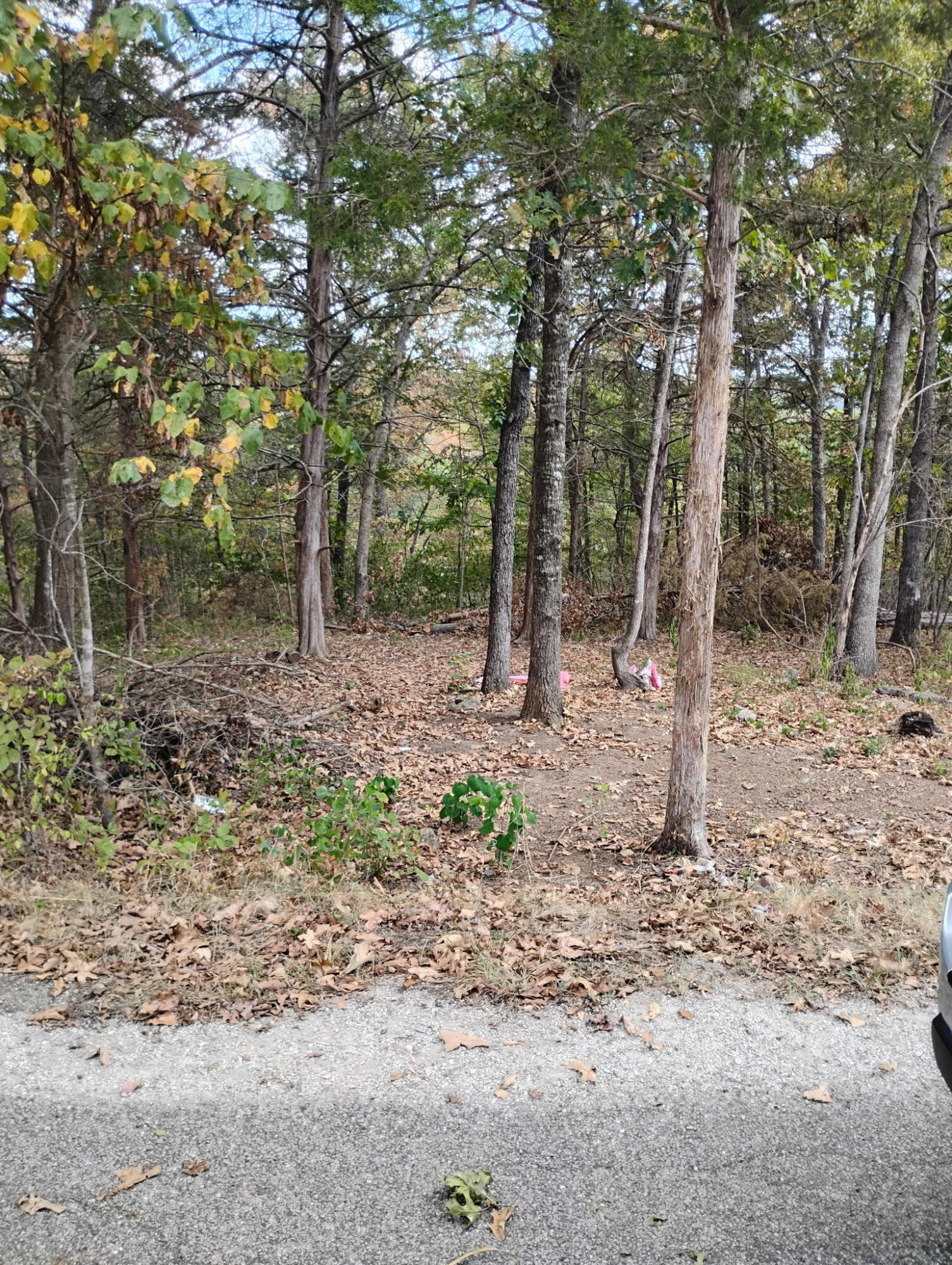 Land for sale – 280  Mach Lane  Rockaway Beach, MO