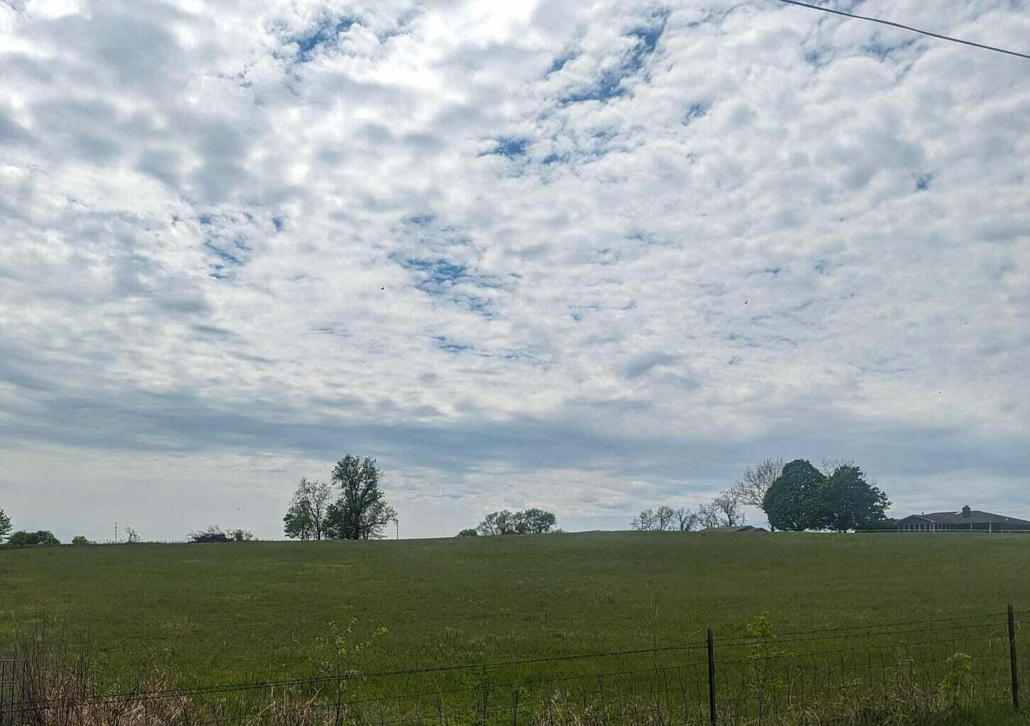 Photo 11 - Land for sale – 000 W Farm Road 64   Ash Grove, MO