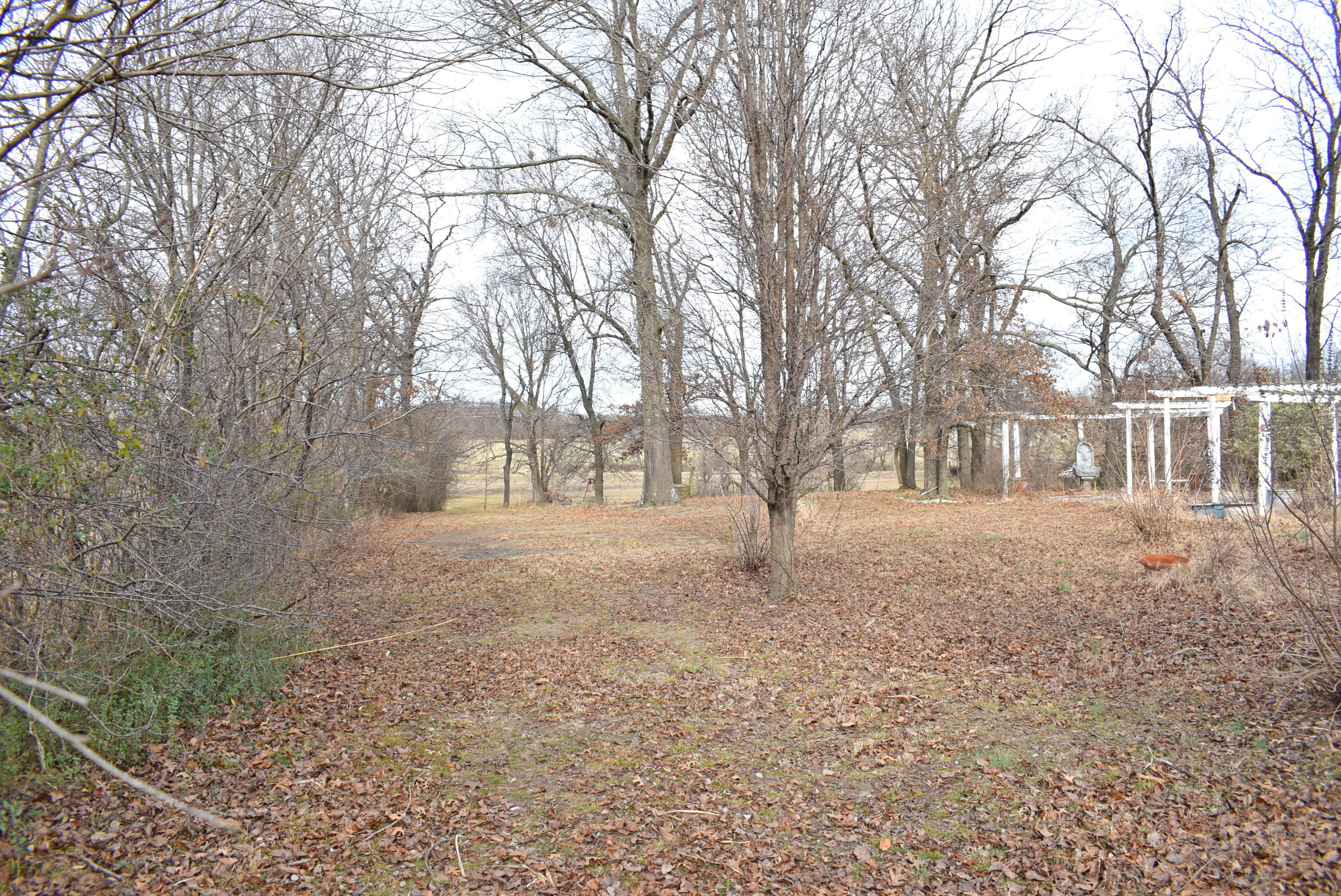 Photo 70 - Residential Lease for sale – 6271  Cedar Meadows Lane  Joplin, MO