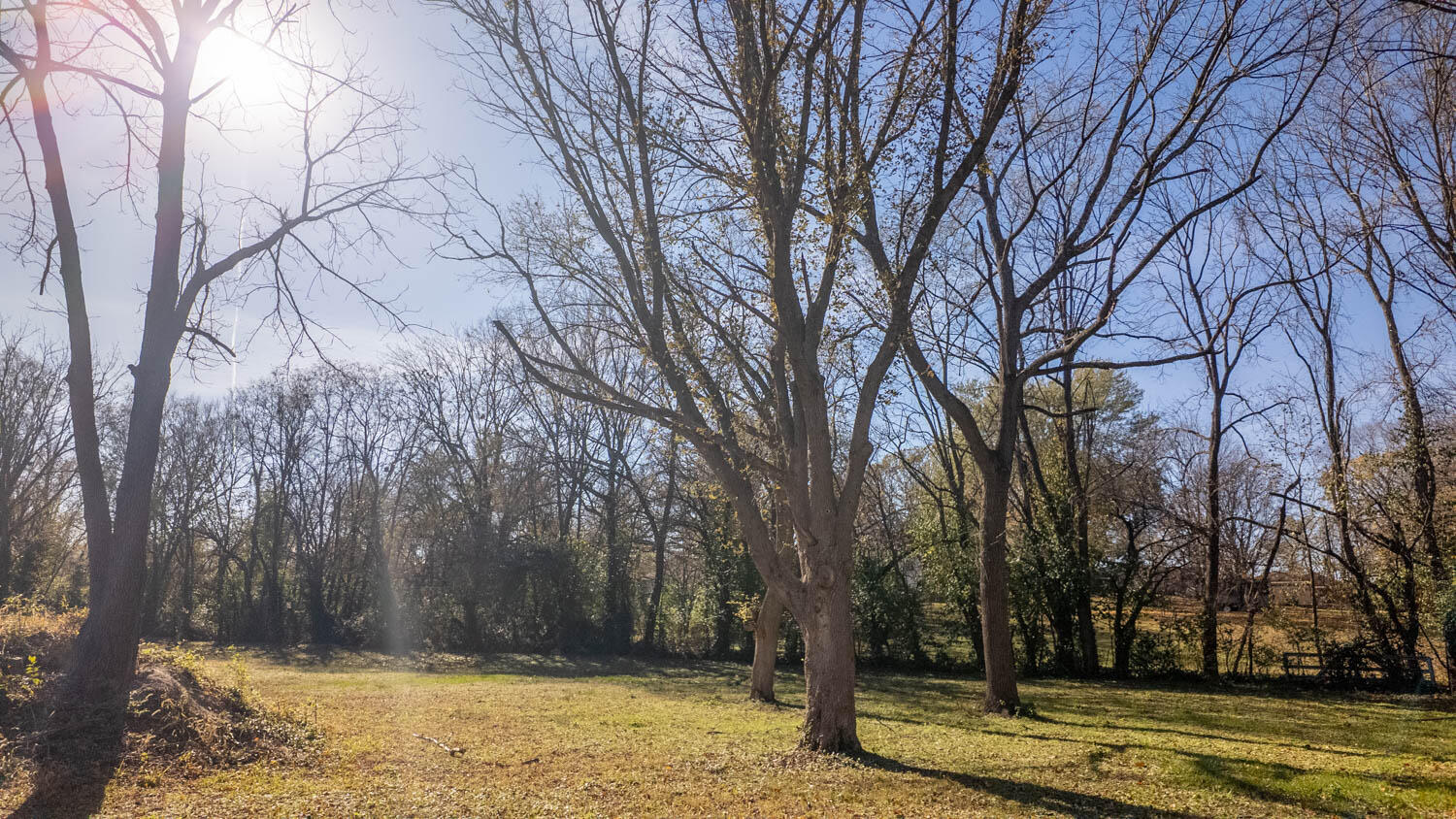 Photo 18 - Land for sale – 2453 N Albertha Avenue   Springfield, MO