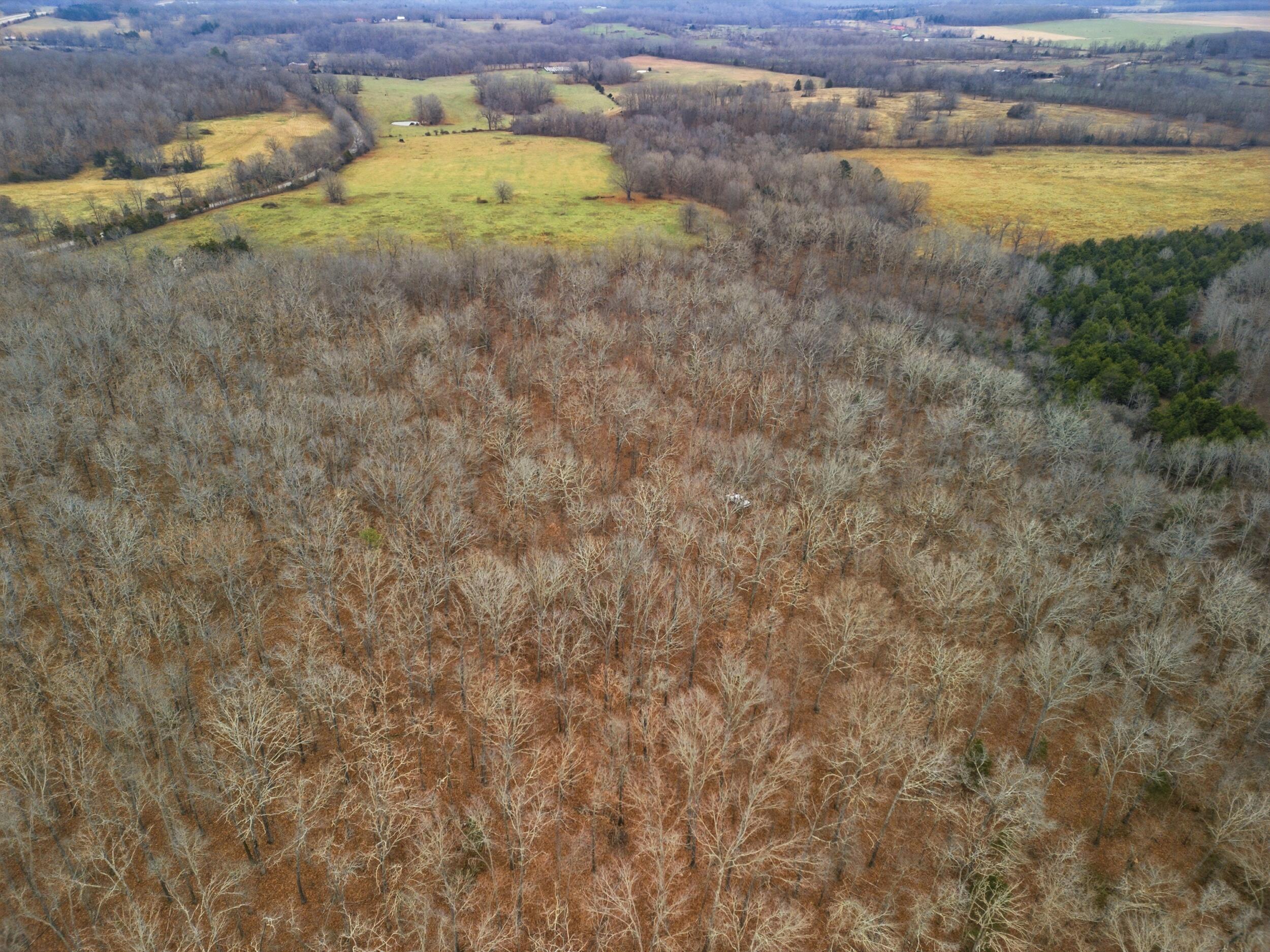 Photo 15 - Land for sale – Tbd  Old Highway 60   Mountain View, MO
