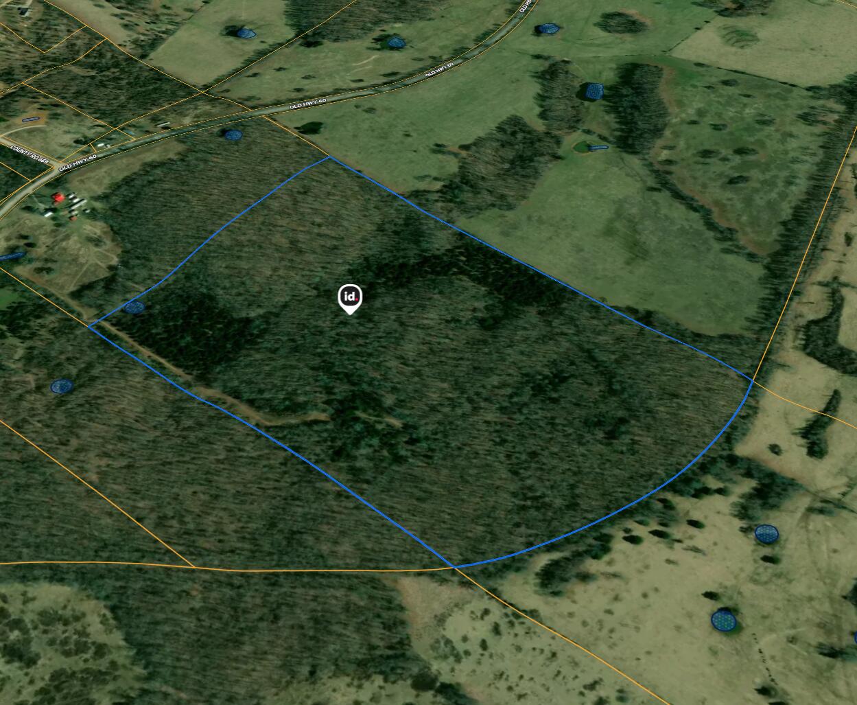 Photo 32 - Land for sale – Tbd  Old Highway 60   Mountain View, MO