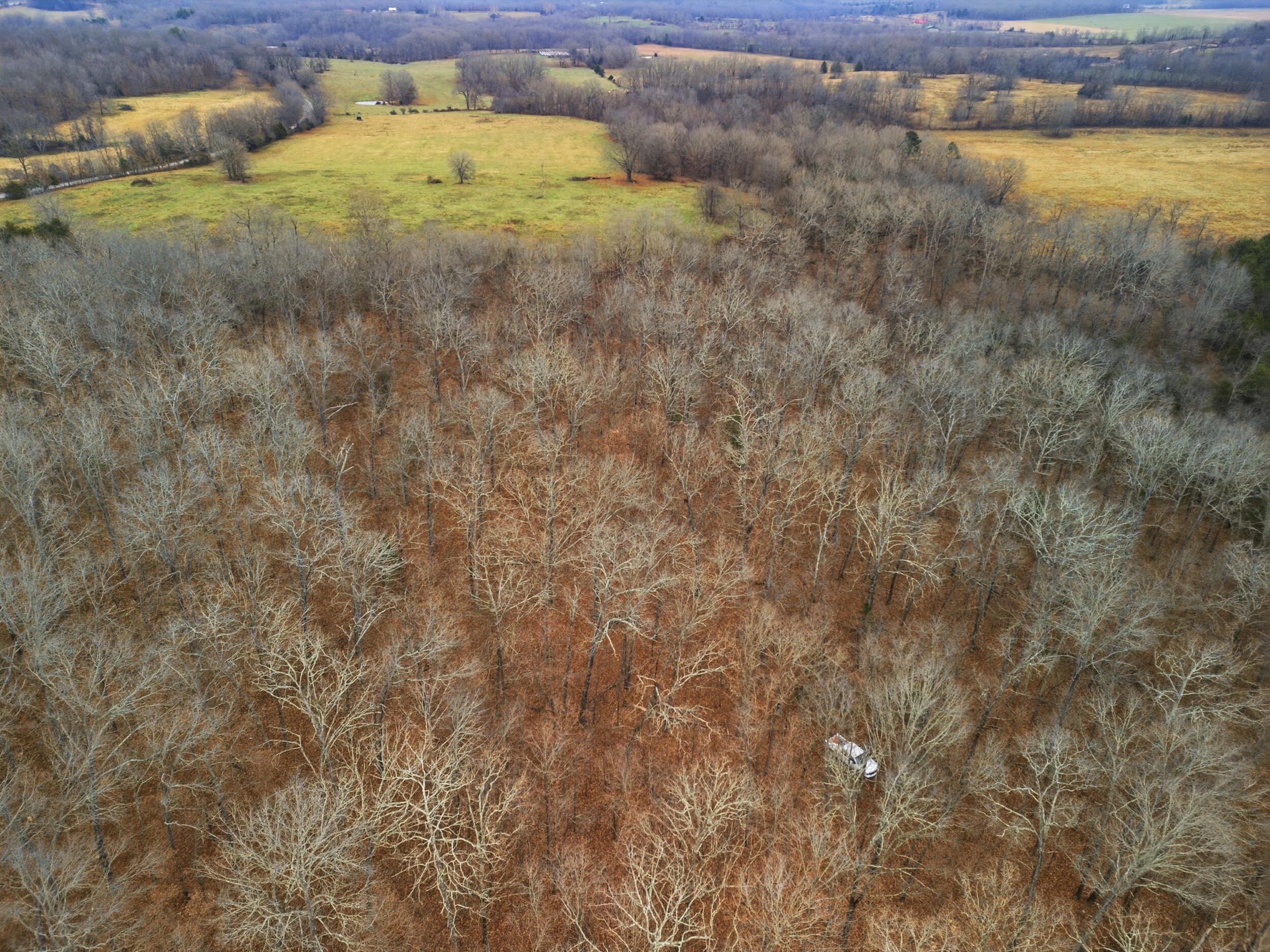 Photo 17 - Land for sale – Tbd  Old Highway 60   Mountain View, MO