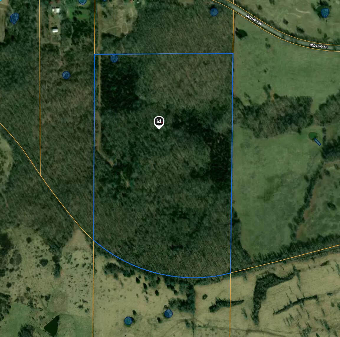Photo 4 - Land for sale – Tbd  Old Highway 60   Mountain View, MO