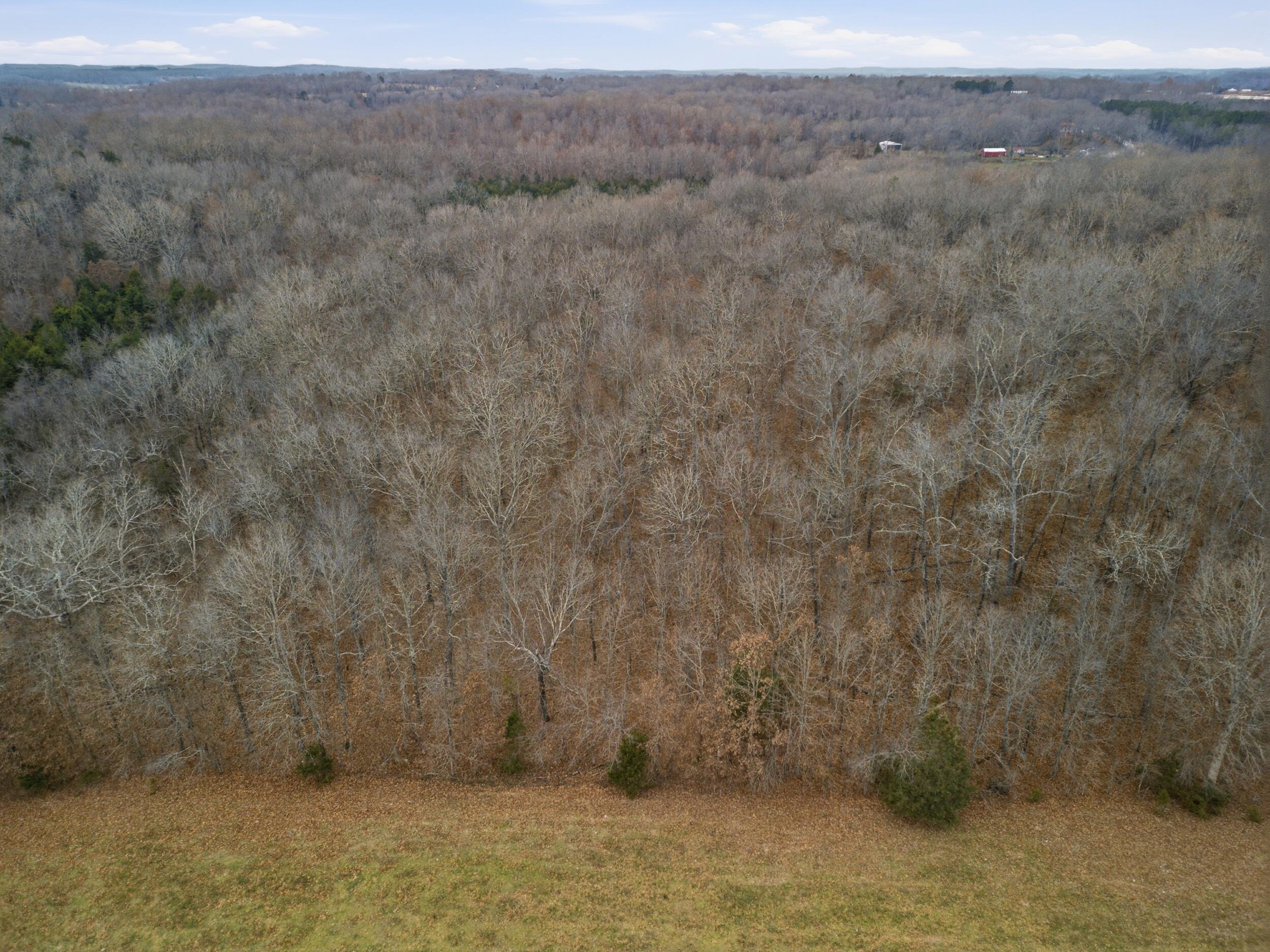 Photo 7 - Land for sale – Tbd  Old Highway 60   Mountain View, MO