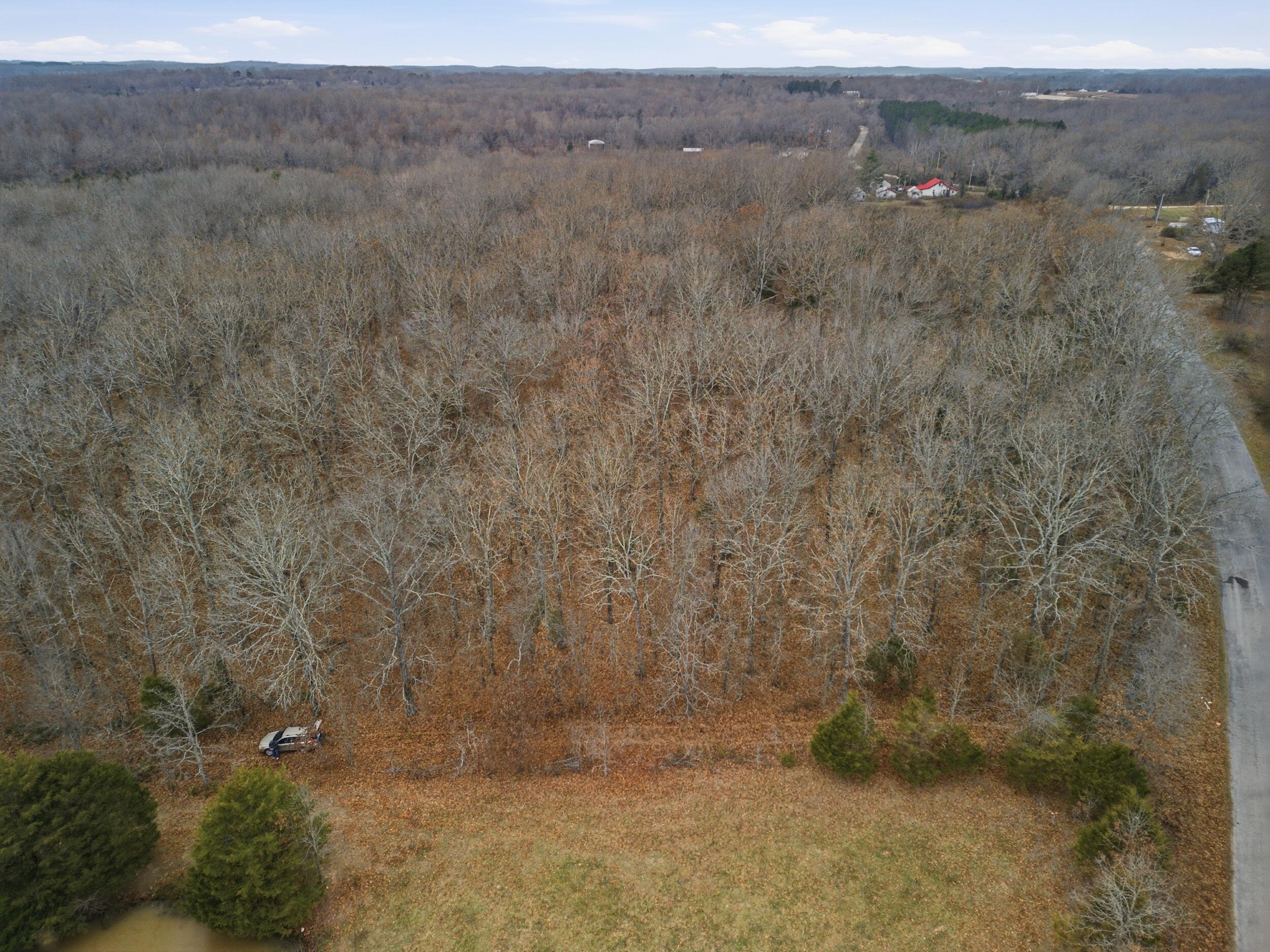 Photo 5 - Land for sale – Tbd  Old Highway 60   Mountain View, MO