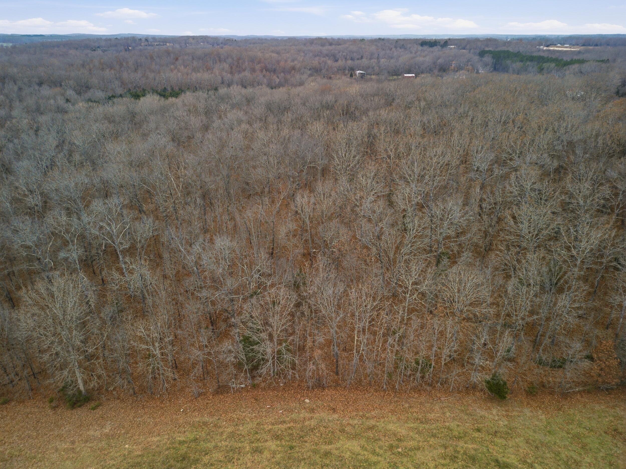 Photo 6 - Land for sale – Tbd  Old Highway 60   Mountain View, MO