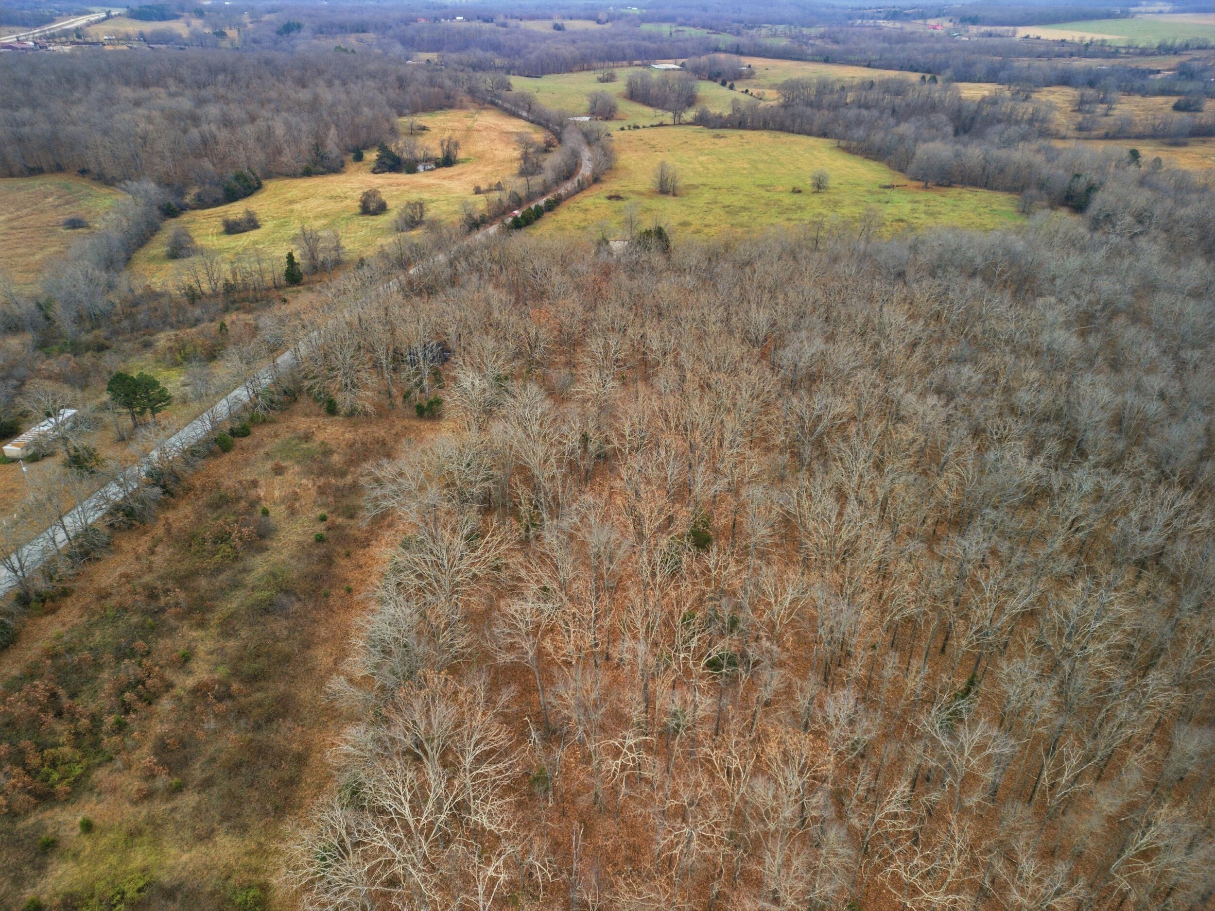 Photo 13 - Land for sale – Tbd  Old Highway 60   Mountain View, MO