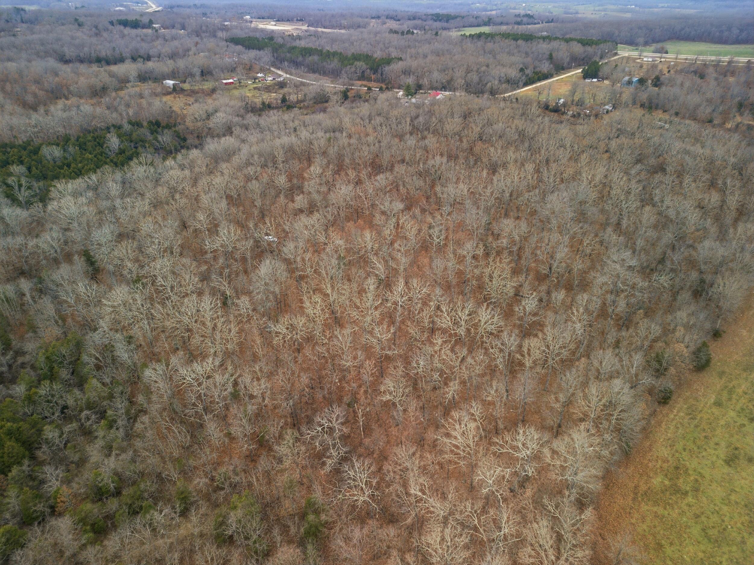 Photo 9 - Land for sale – Tbd  Old Highway 60   Mountain View, MO
