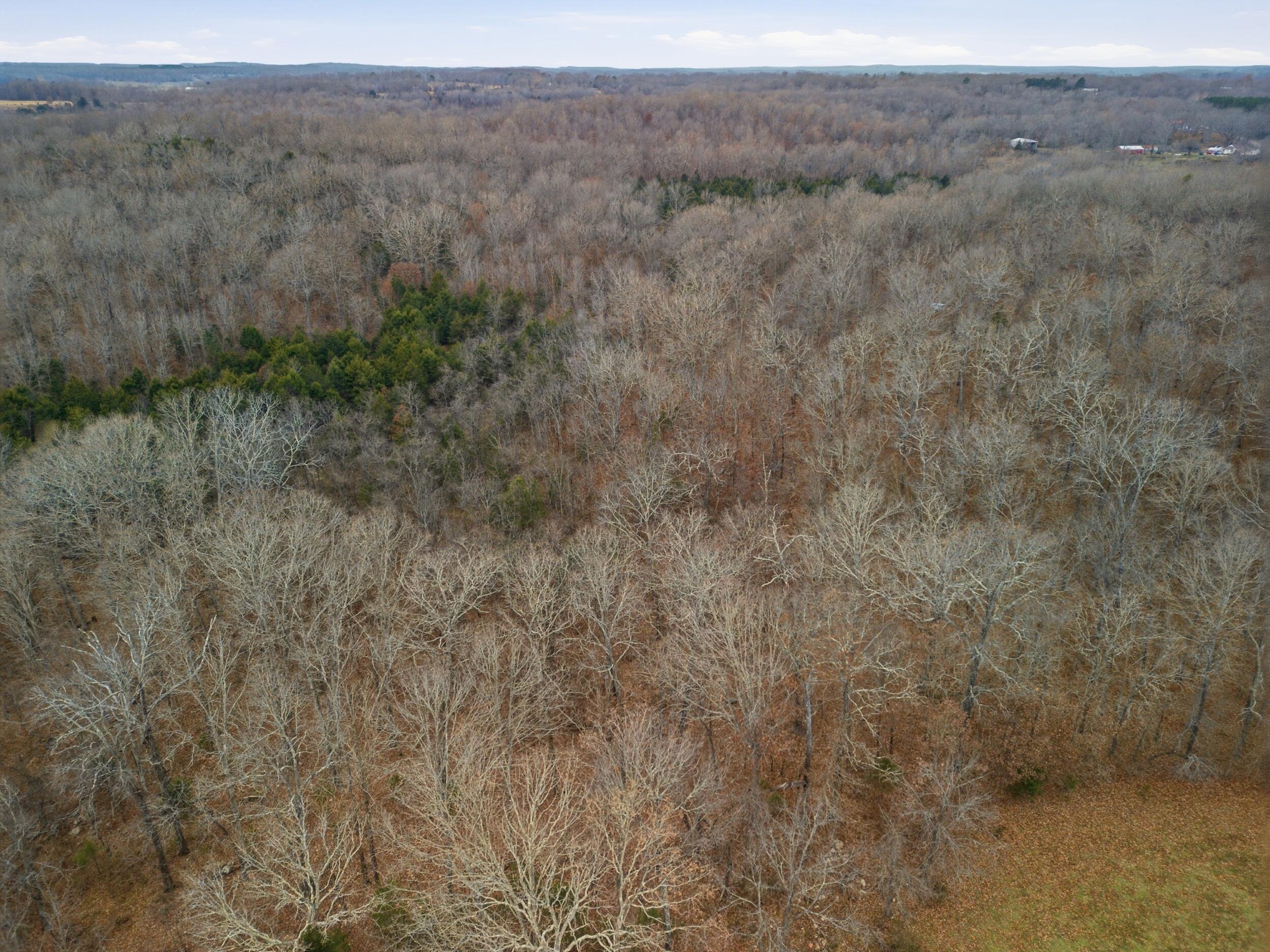 Photo 8 - Land for sale – Tbd  Old Highway 60   Mountain View, MO