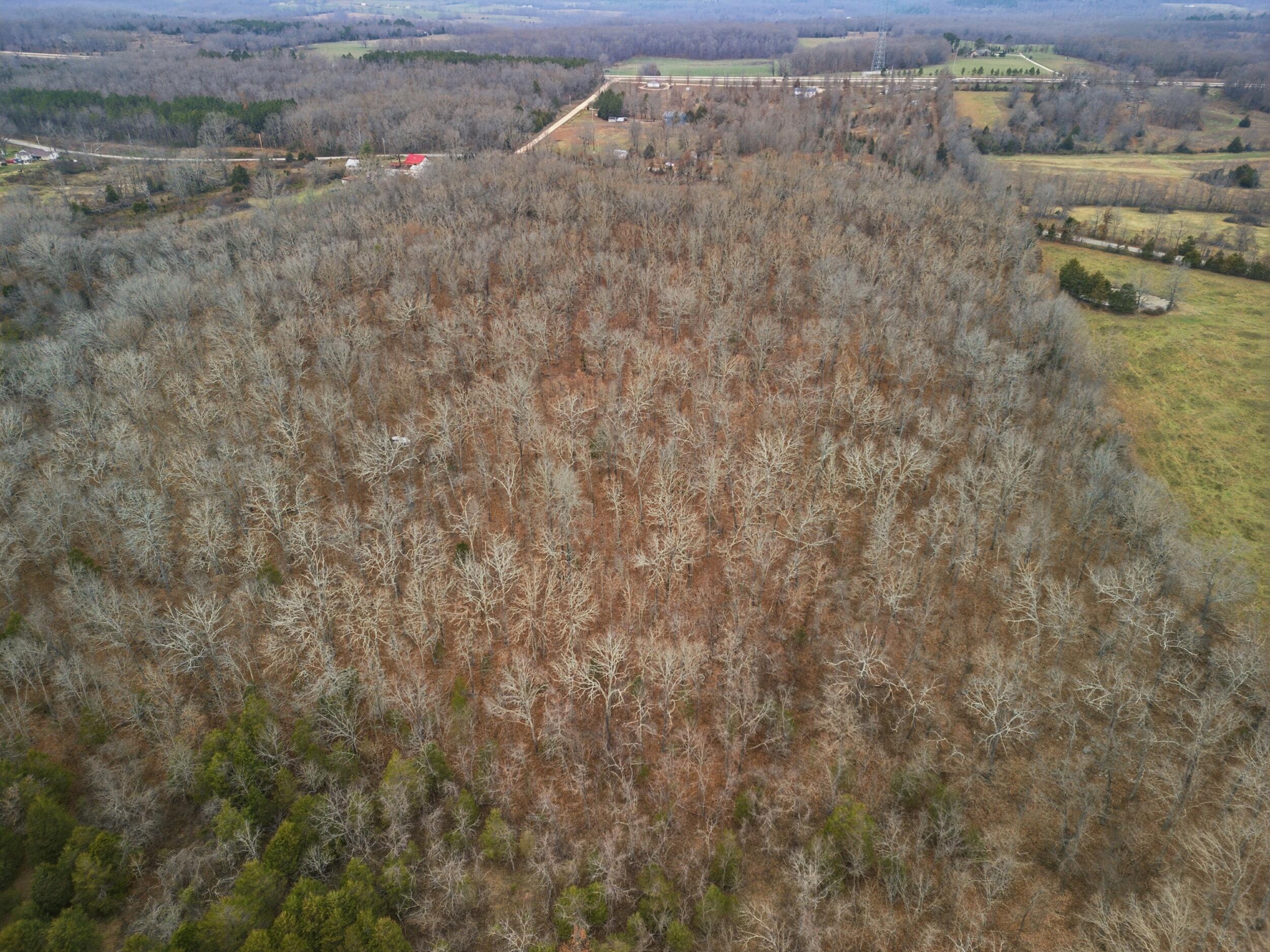 Photo 10 - Land for sale – Tbd  Old Highway 60   Mountain View, MO