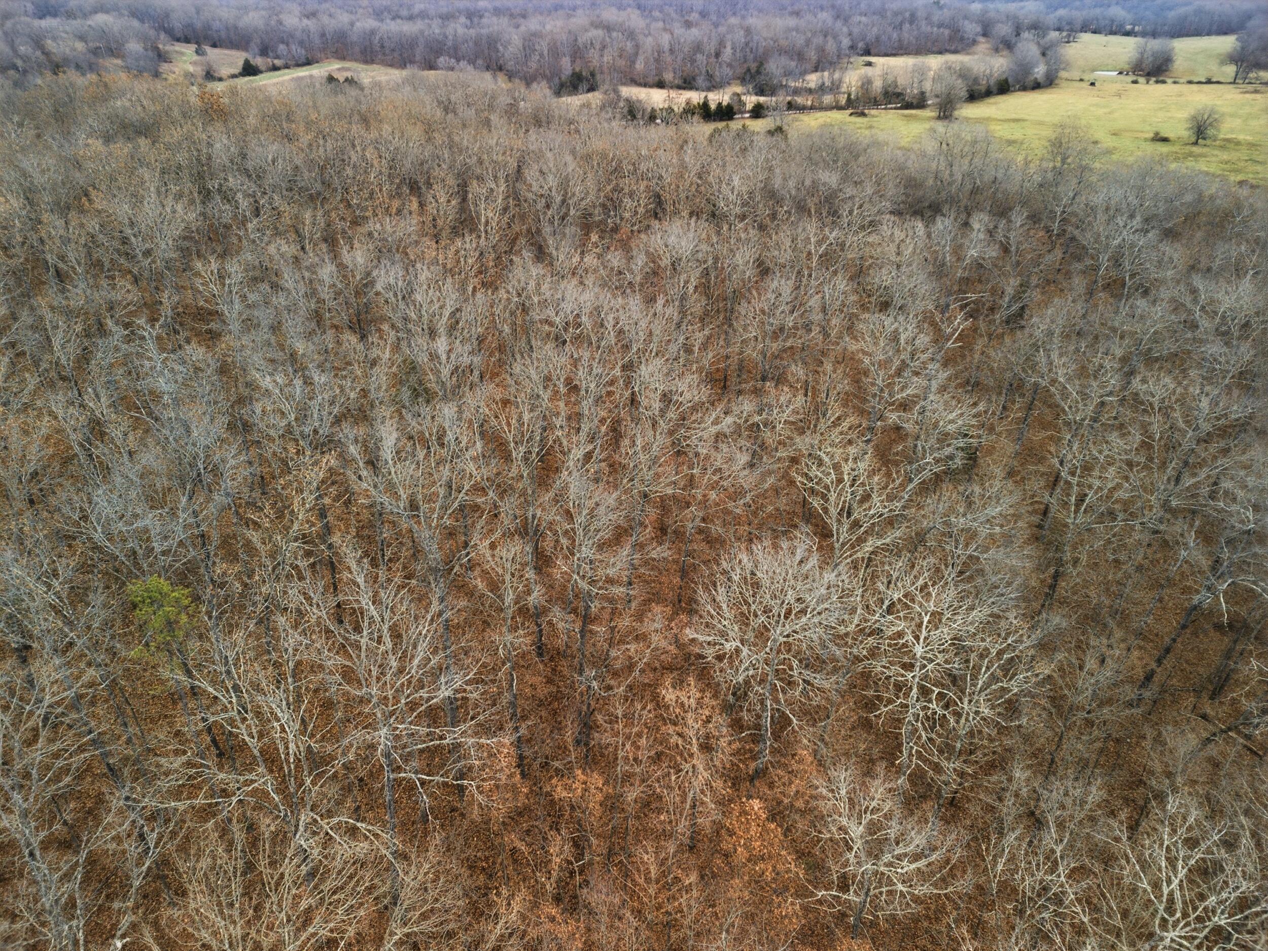 Photo 18 - Land for sale – Tbd  Old Highway 60   Mountain View, MO