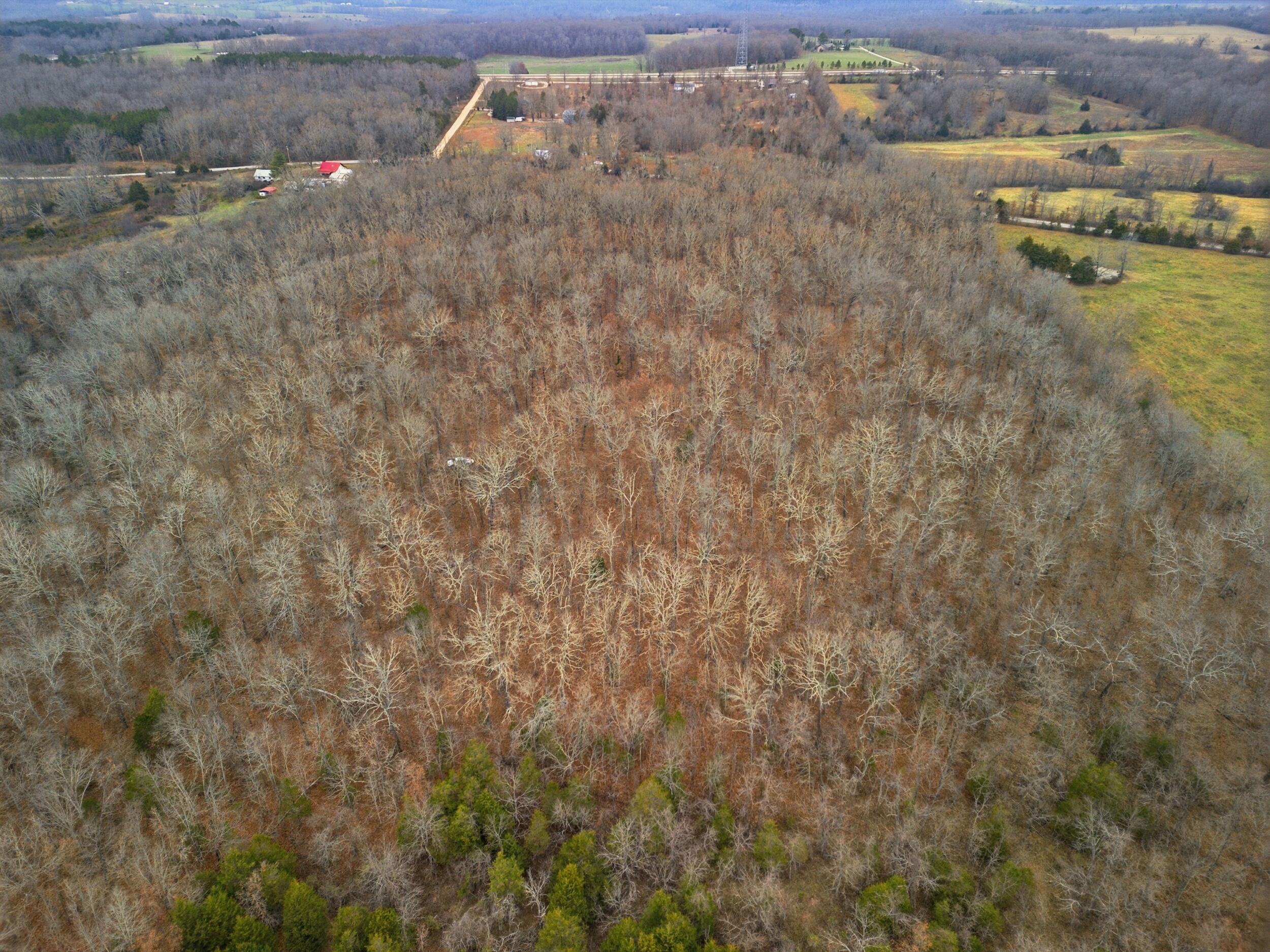 Photo 11 - Land for sale – Tbd  Old Highway 60   Mountain View, MO