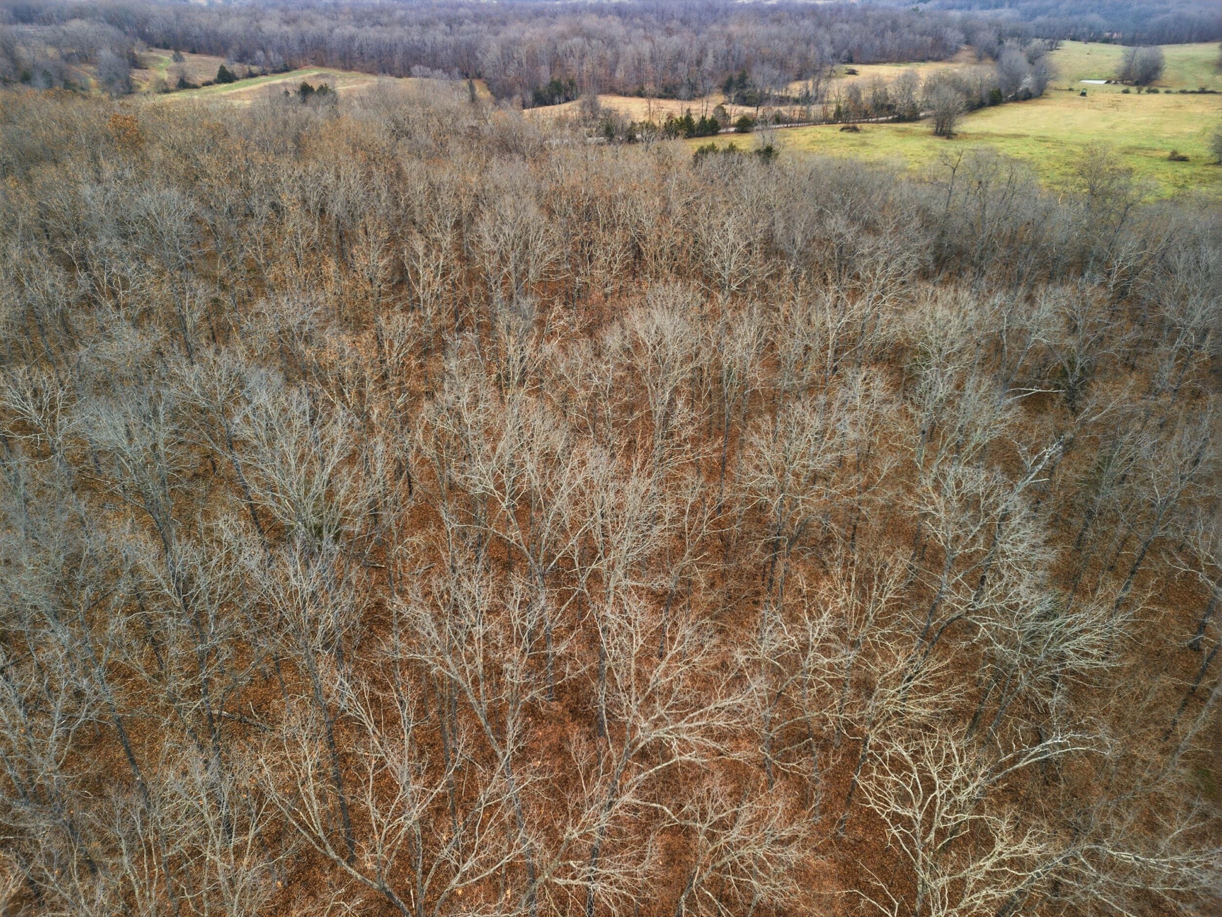 Photo 19 - Land for sale – Tbd  Old Highway 60   Mountain View, MO