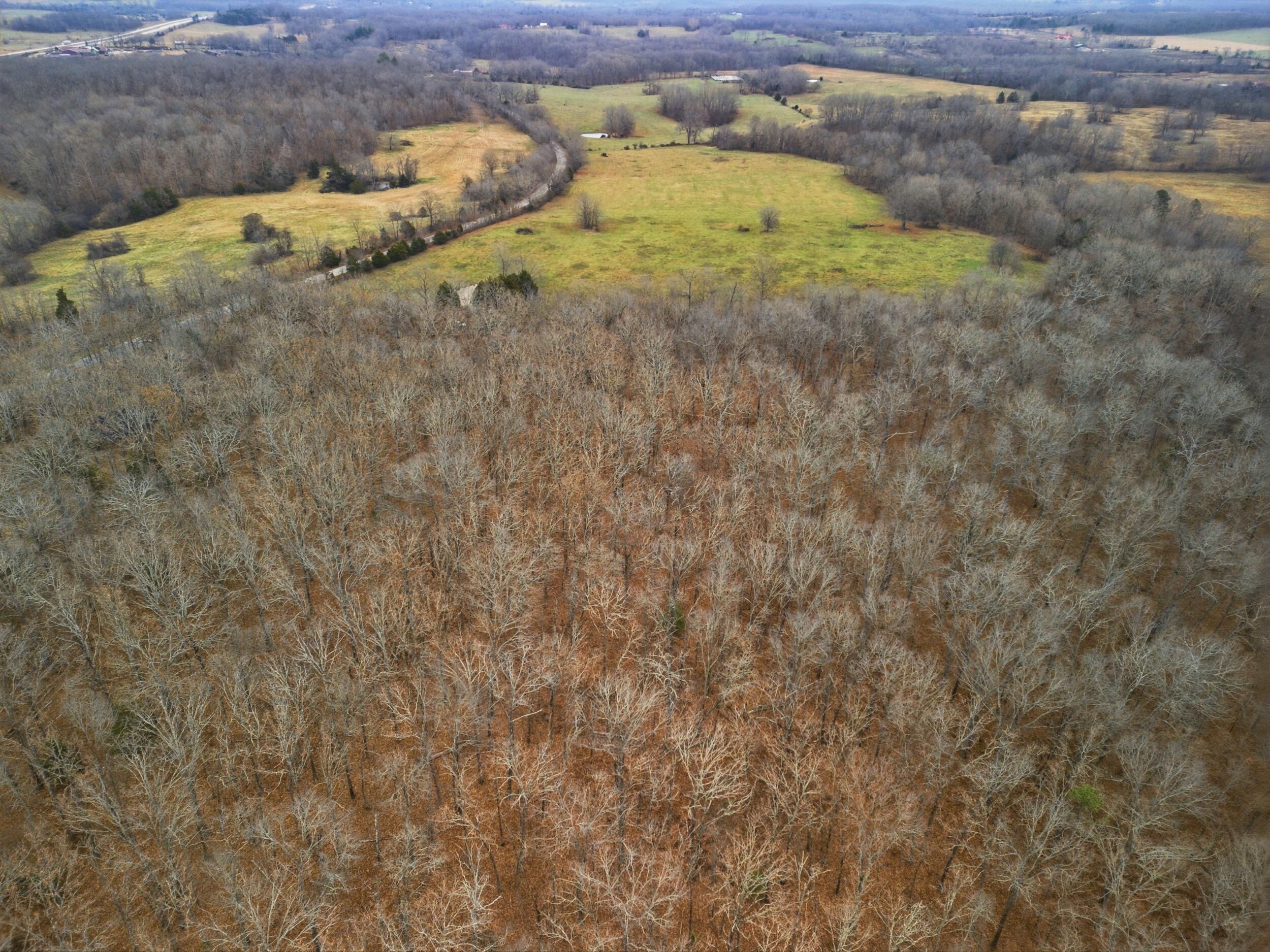 Photo 12 - Land for sale – Tbd  Old Highway 60   Mountain View, MO