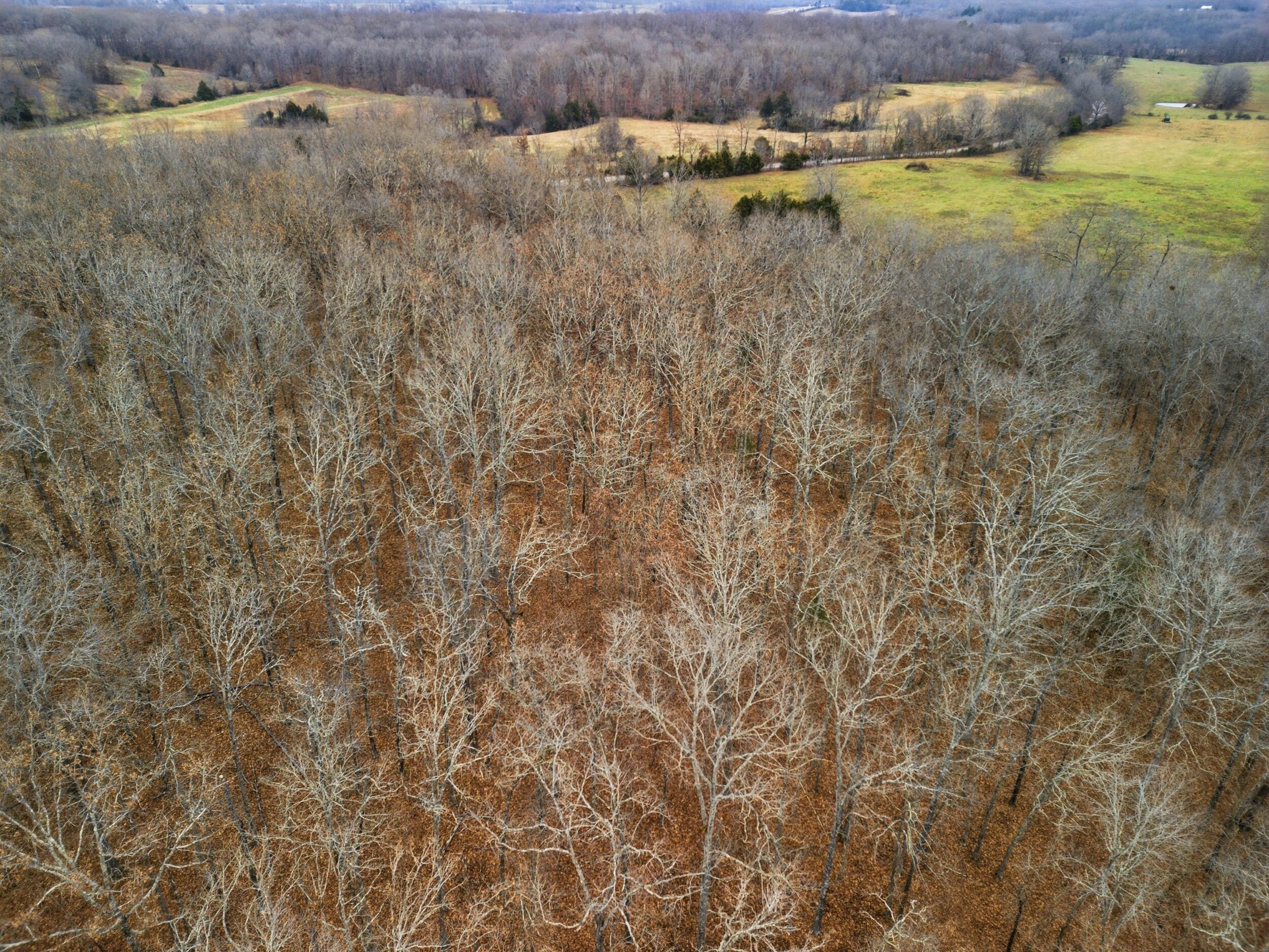 Photo 20 - Land for sale – Tbd  Old Highway 60   Mountain View, MO
