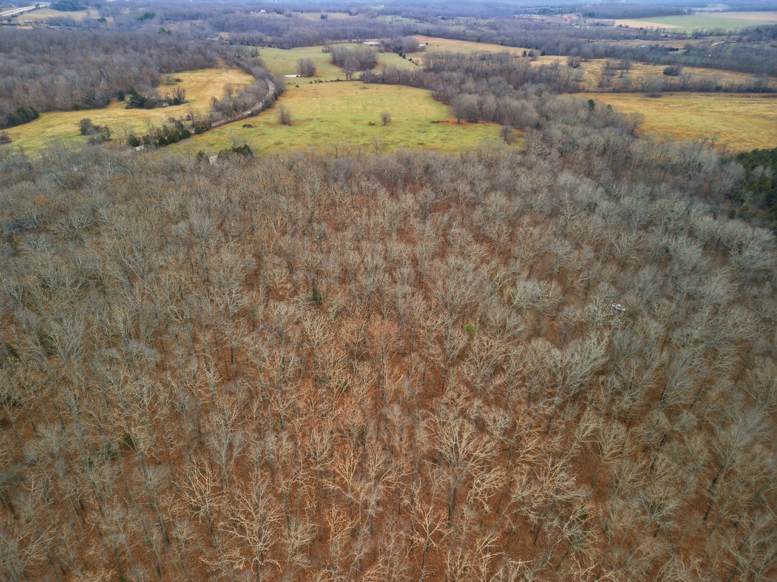 Photo 14 - Land for sale – Tbd  Old Highway 60   Mountain View, MO