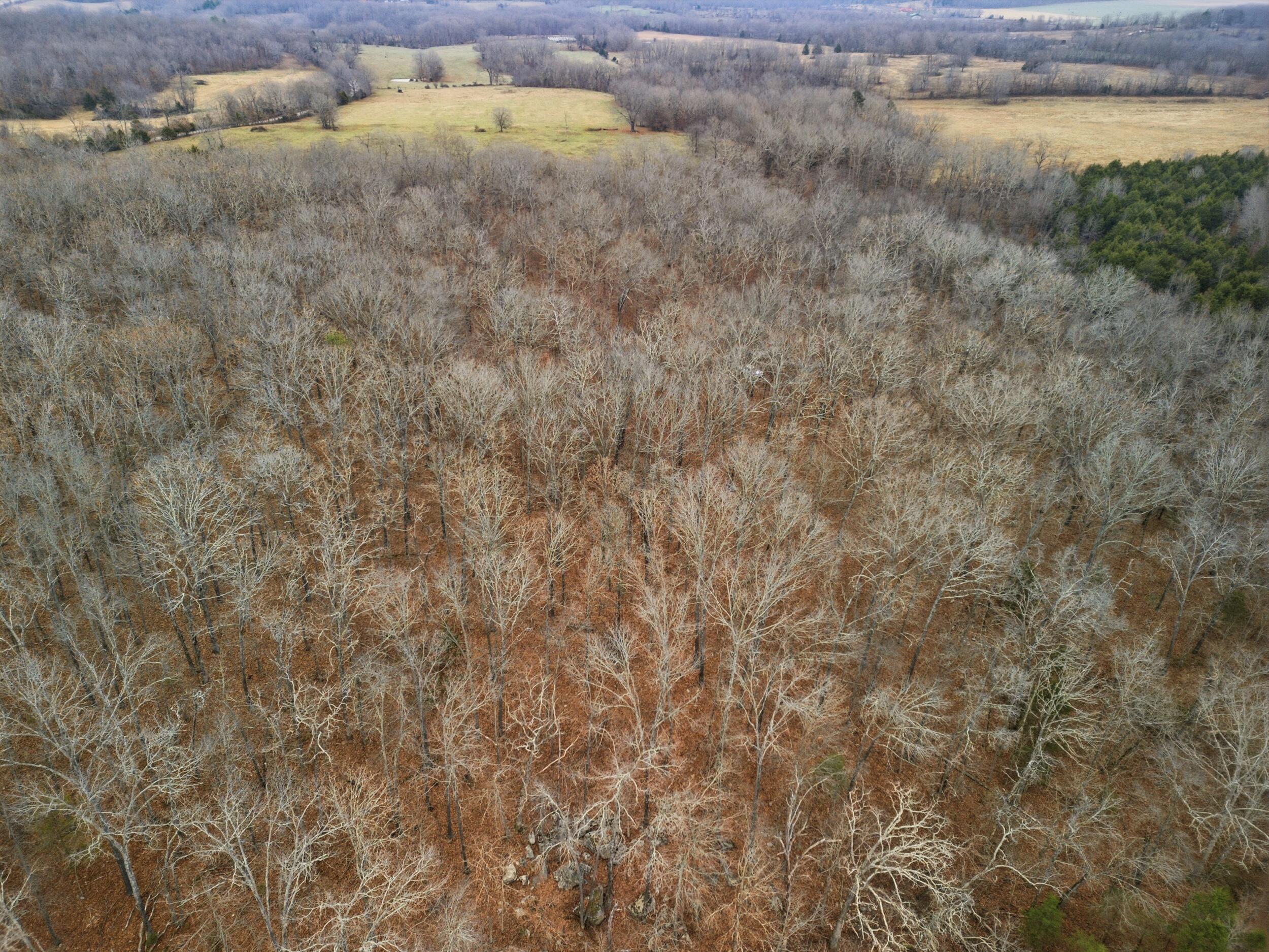 Photo 16 - Land for sale – Tbd  Old Highway 60   Mountain View, MO