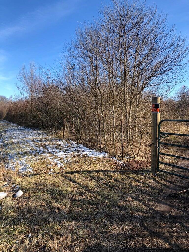Photo 5 - Land for sale – 000 W Farm Road 144   Springfield, MO