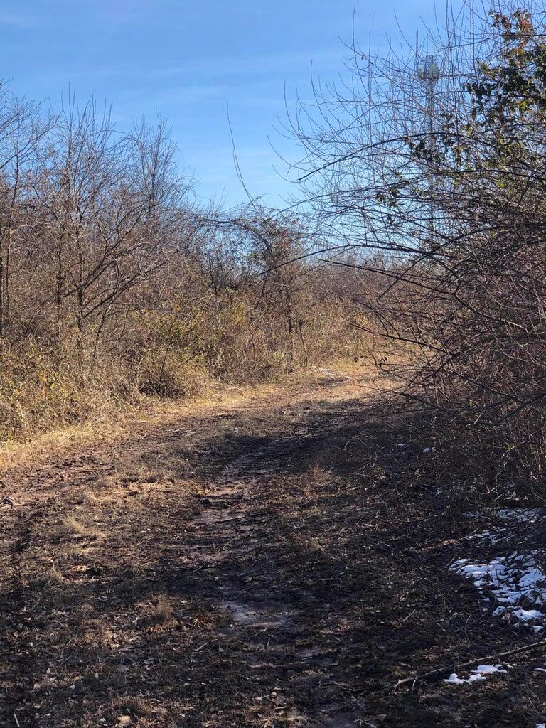 Photo 7 - Land for sale – 000 W Farm Road 144   Springfield, MO