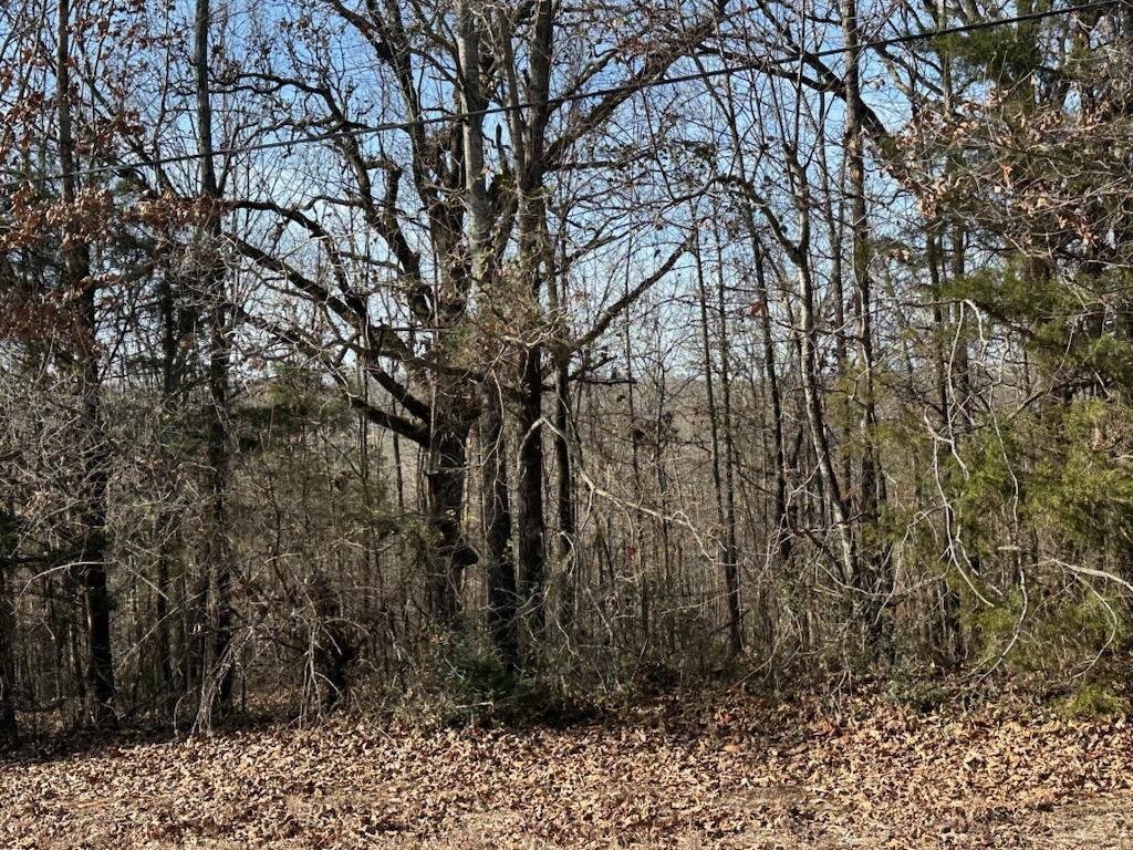 Photo 3 - Land for sale – 000  Highway 289   Mammoth Spring, AR