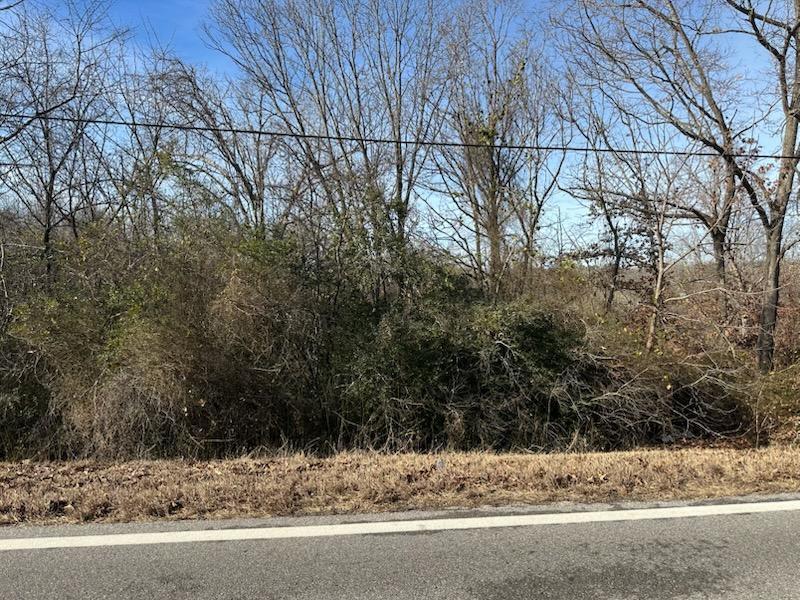 Land for sale – 000  Highway 289   Mammoth Spring, AR