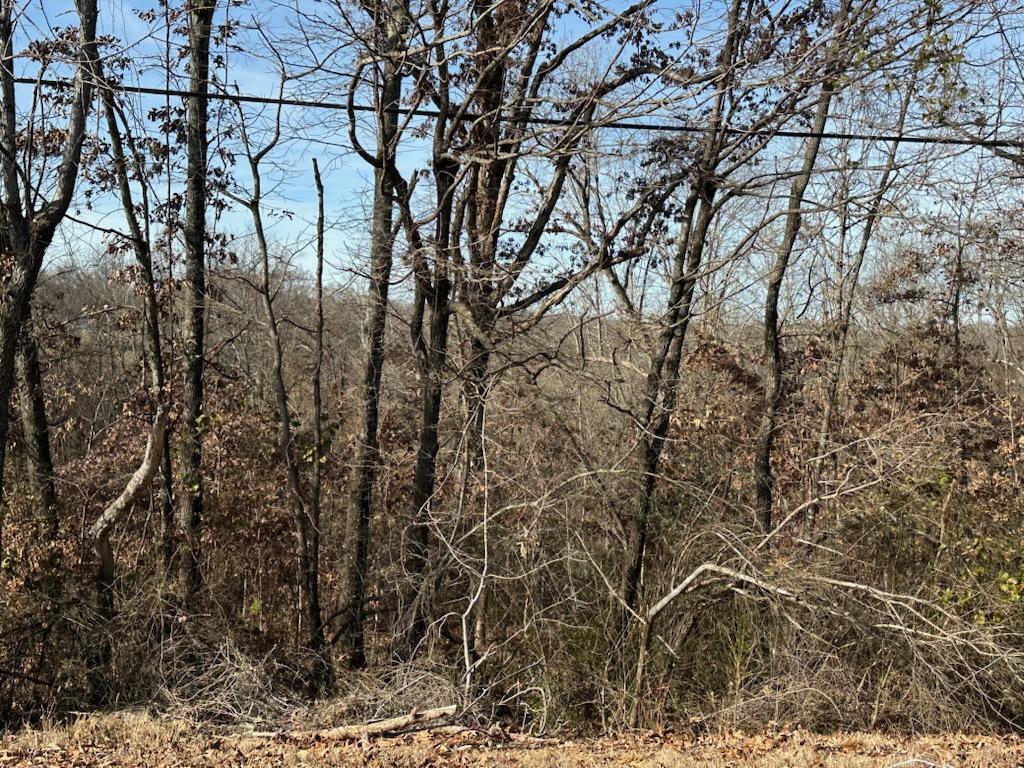 Photo 2 - Land for sale – 000  Highway 289   Mammoth Spring, AR