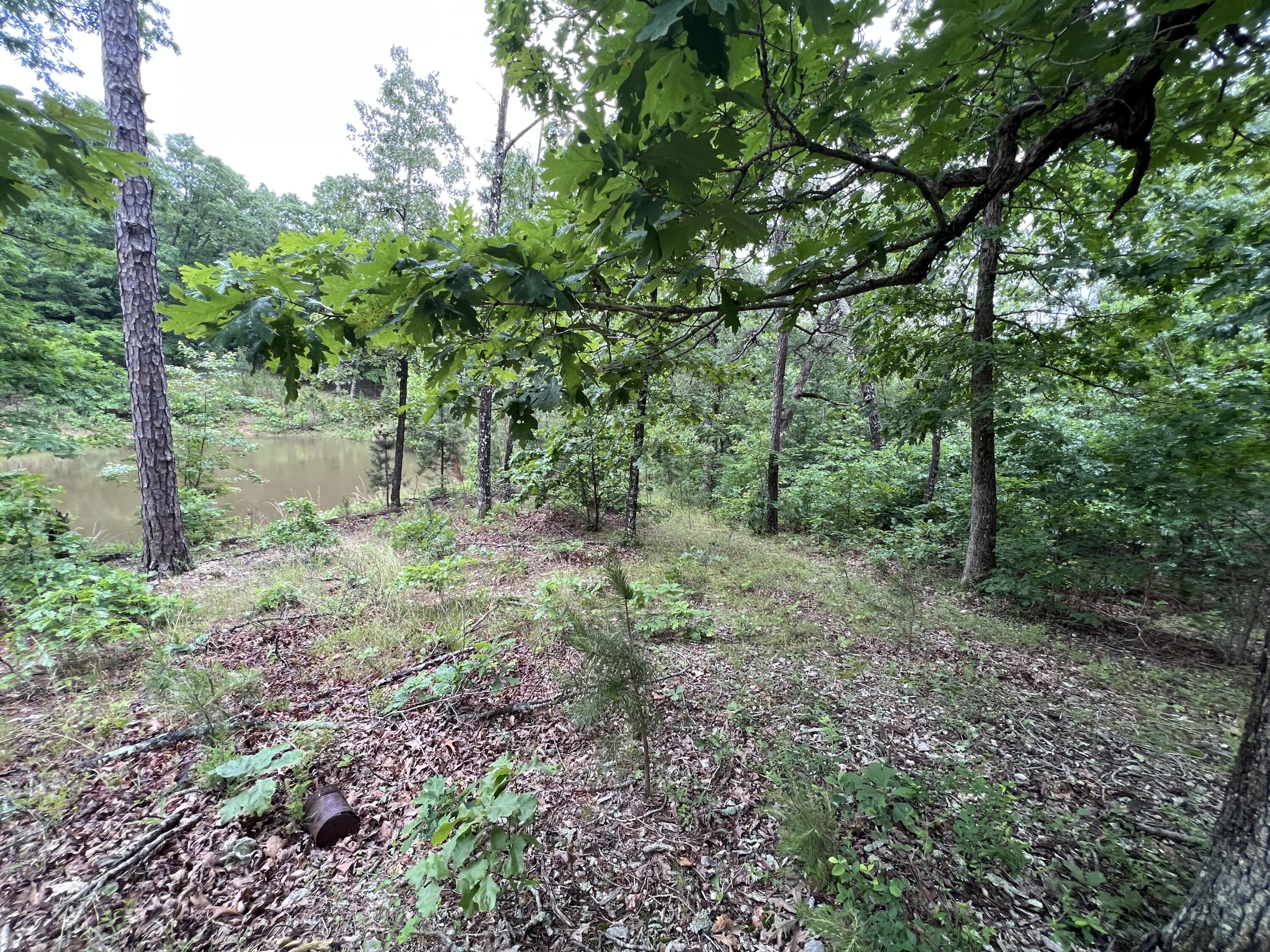 Photo 13 - Land for sale – 15768  Sargent Road   Willow Springs, MO