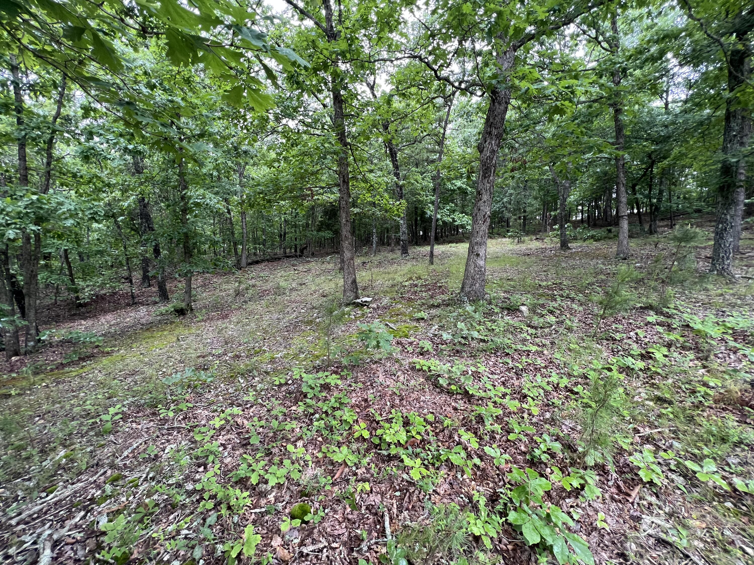 Photo 11 - Land for sale – 15768  Sargent Road   Willow Springs, MO