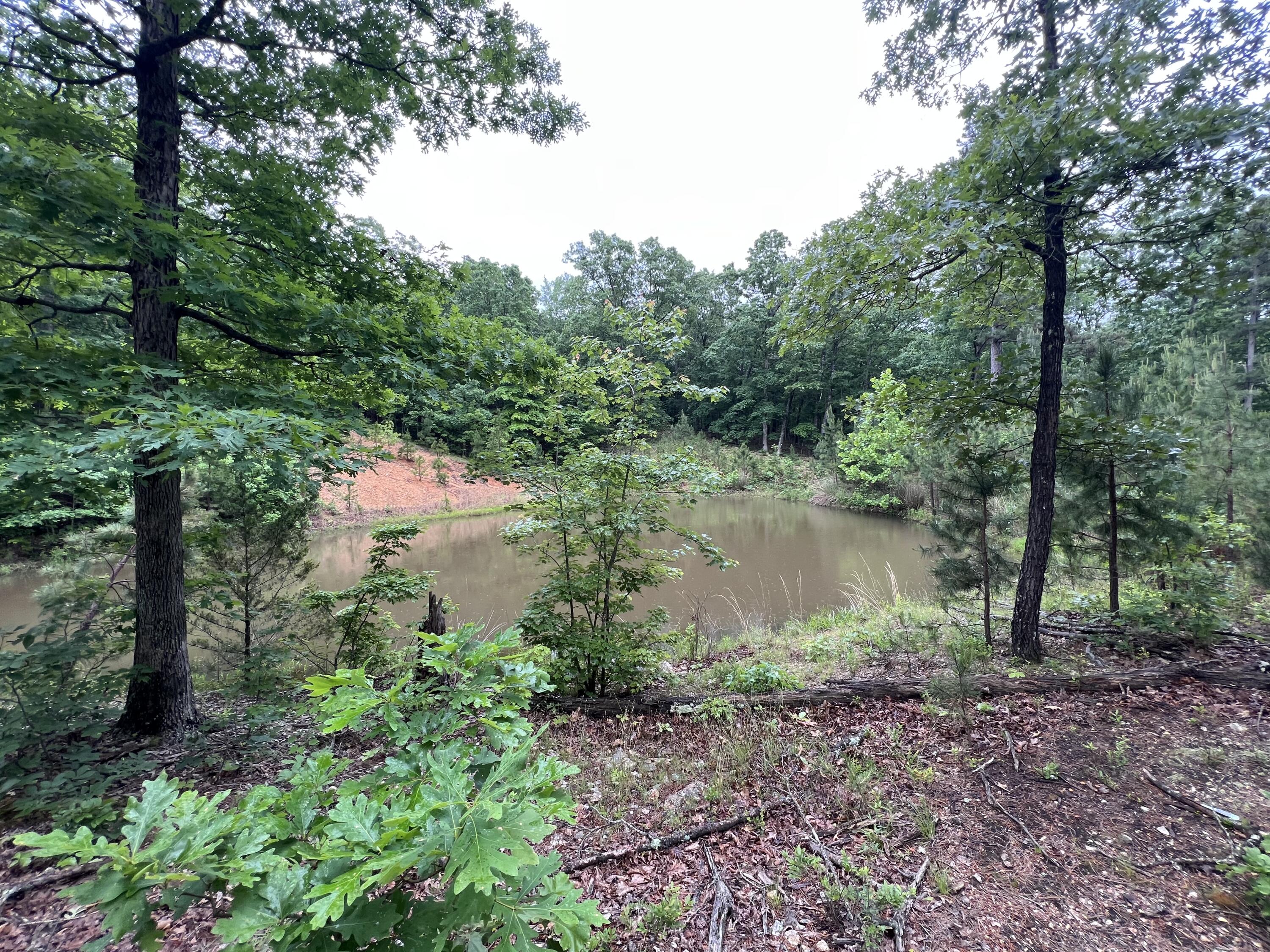 Photo 9 - Land for sale – 15768  Sargent Road   Willow Springs, MO