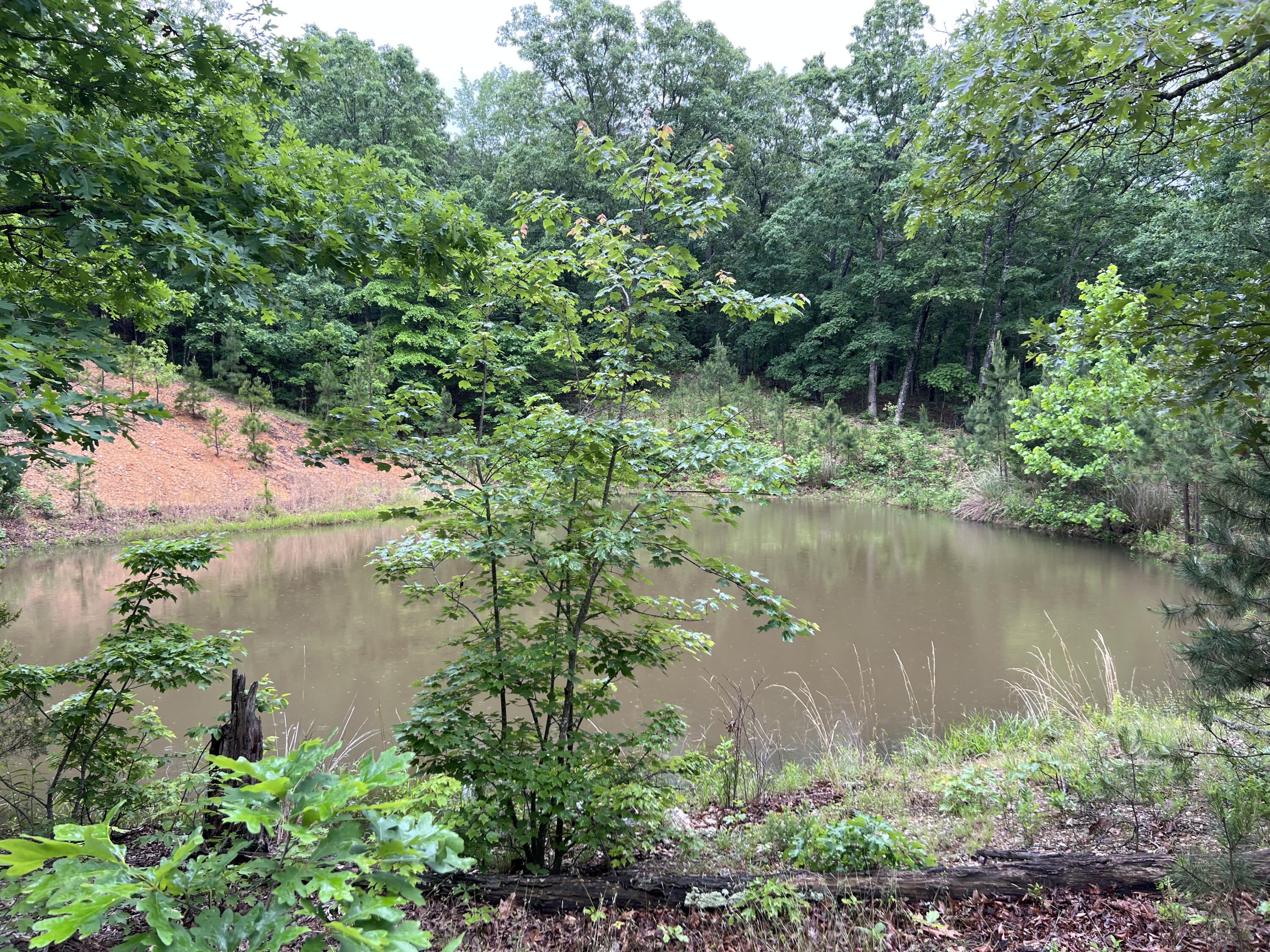 Photo 8 - Land for sale – 15768  Sargent Road   Willow Springs, MO