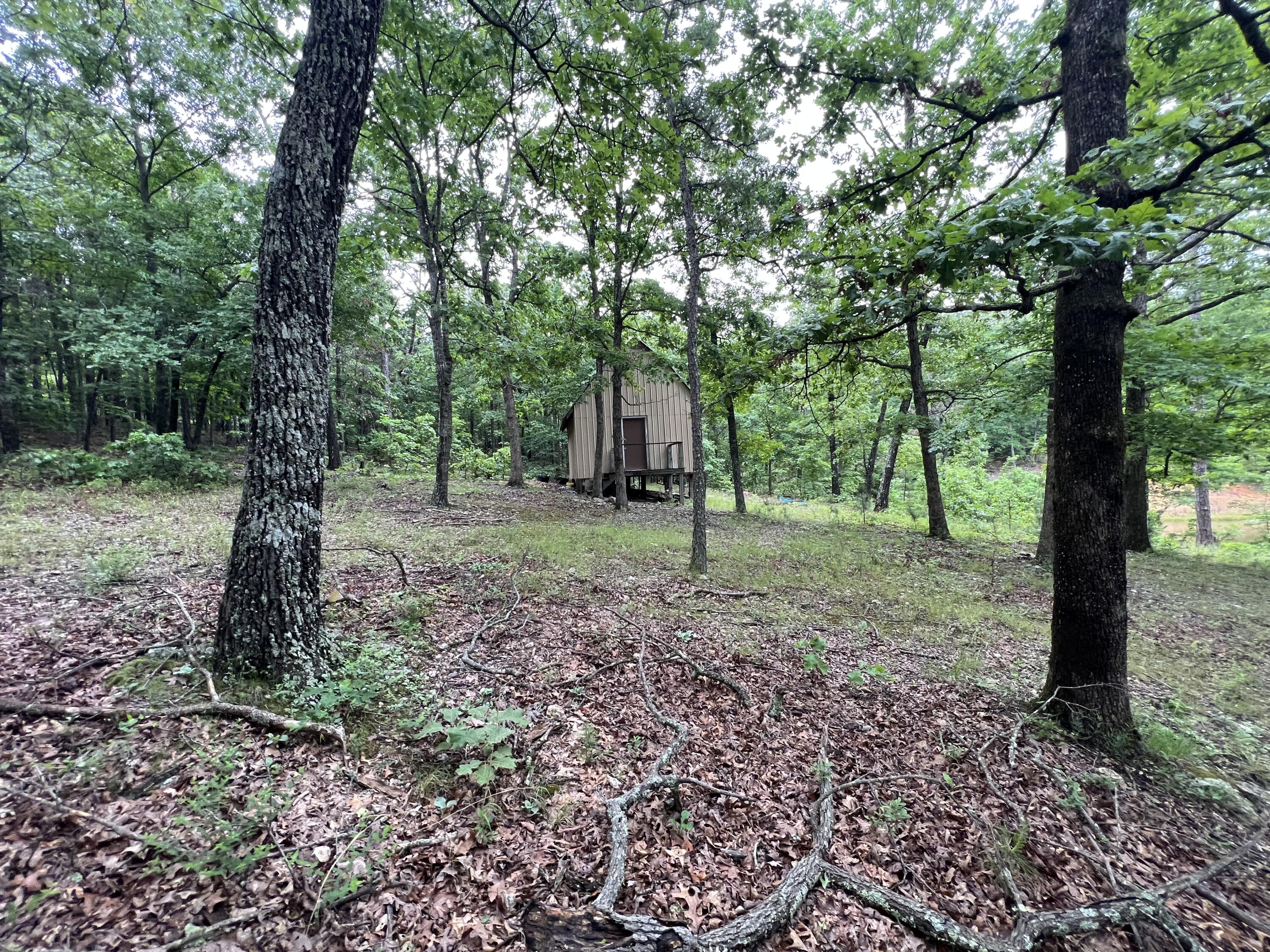 Photo 14 - Land for sale – 15768  Sargent Road   Willow Springs, MO