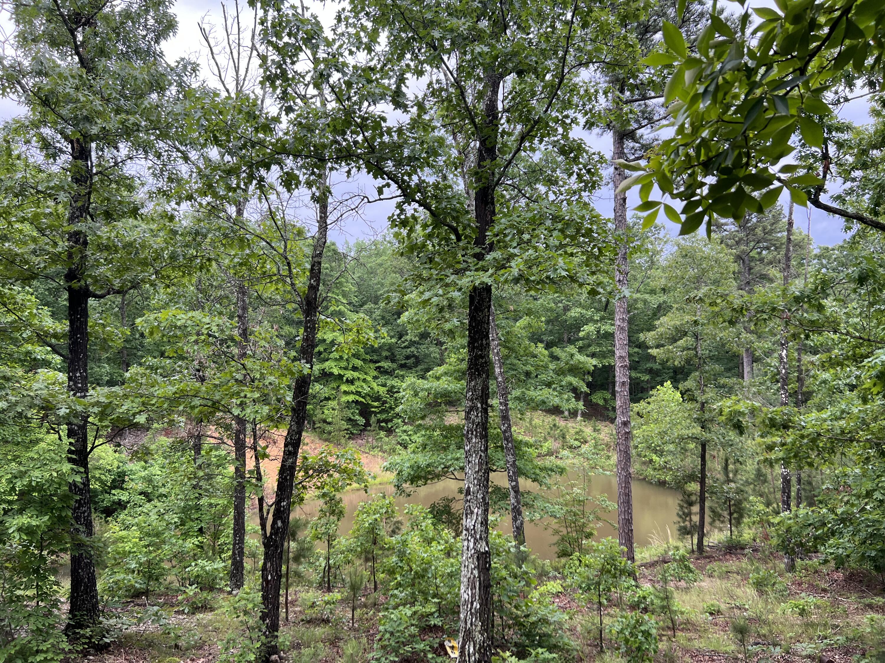 Photo 5 - Land for sale – 15768  Sargent Road   Willow Springs, MO
