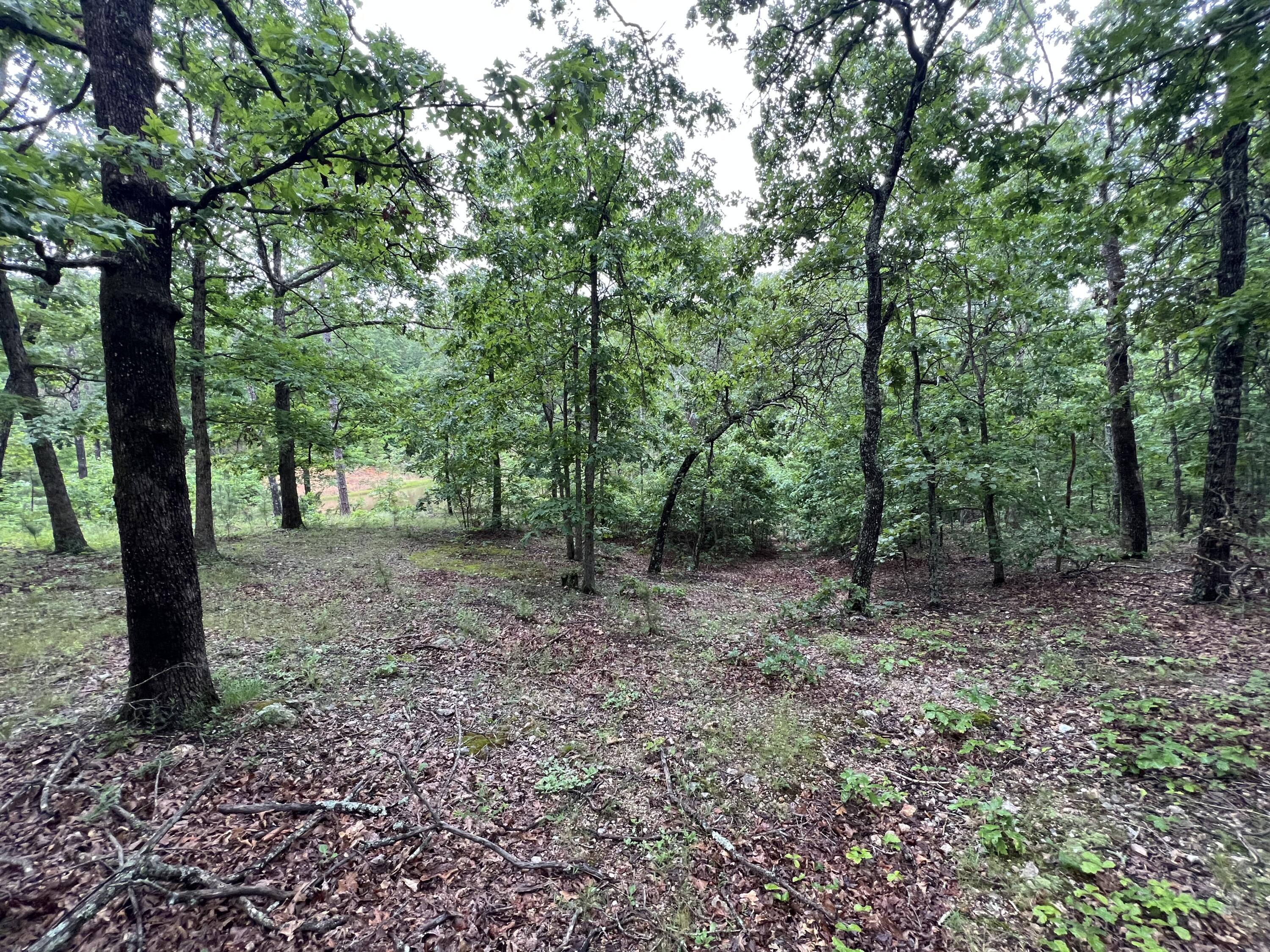 Photo 15 - Land for sale – 15768  Sargent Road   Willow Springs, MO