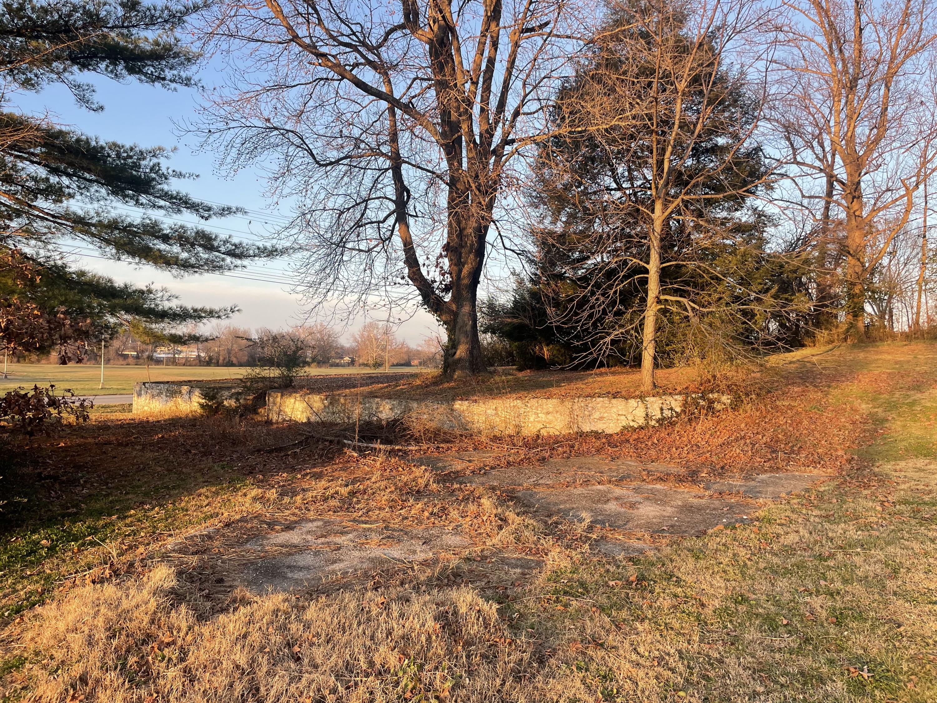 Photo 20 - Commercial Sale for sale – 395 & 397  Sale Barn Road   Cassville, MO