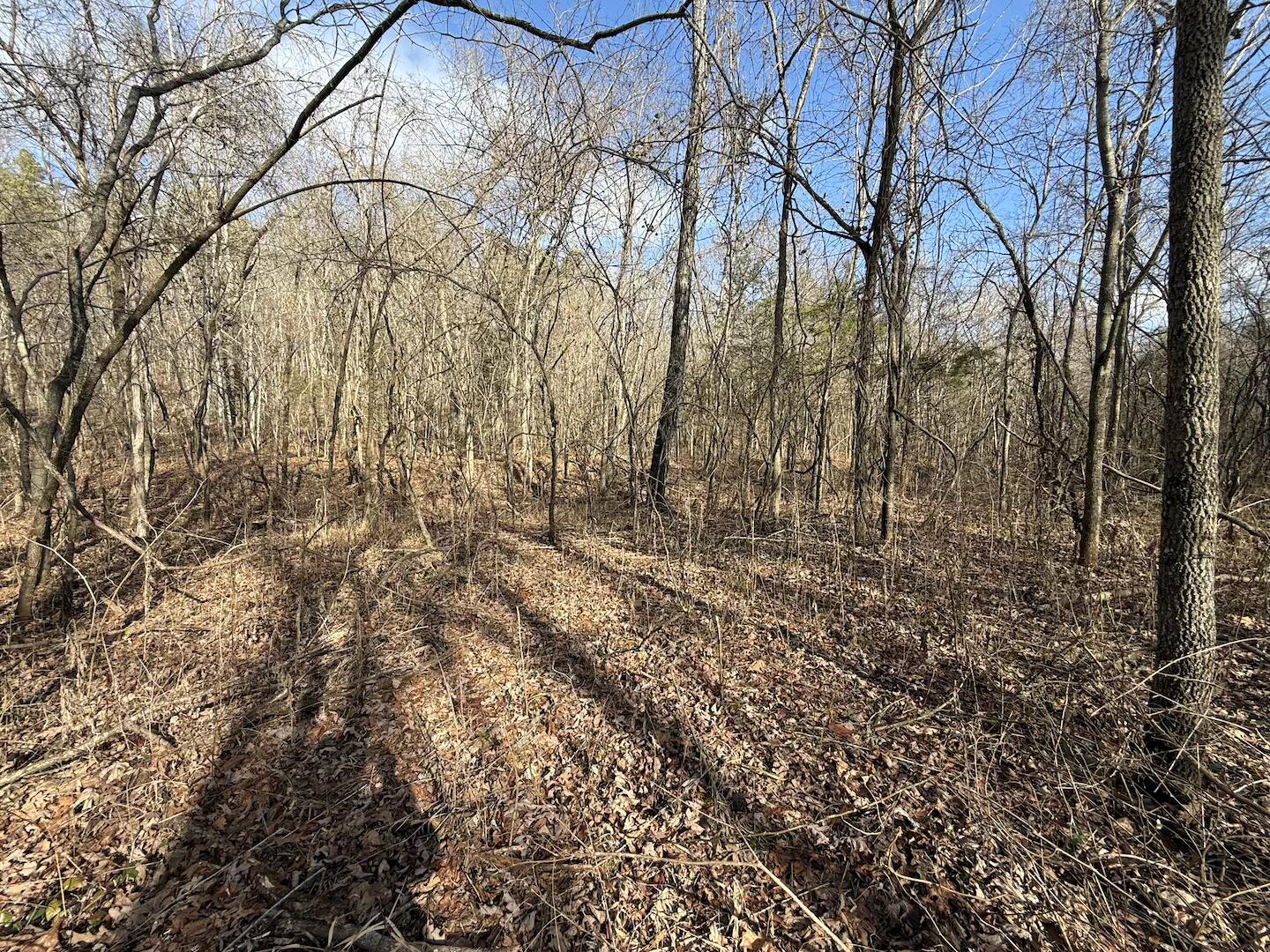 Photo 4 - Land for sale – 000  Ottofy Way   Eminence, MO