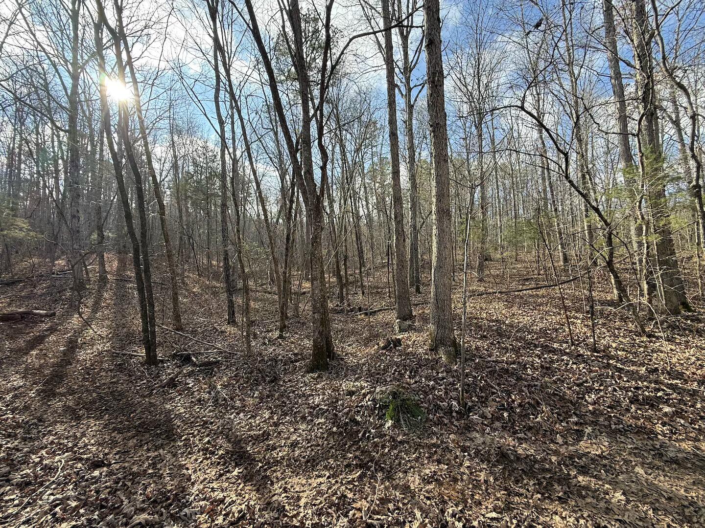 Land for sale – 000  Ottofy Way   Eminence, MO