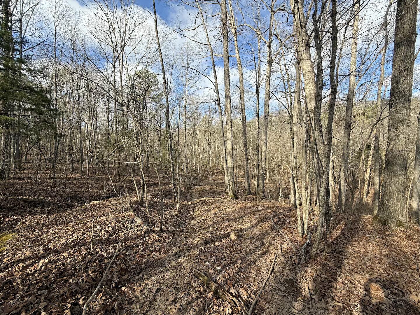 Photo 2 - Land for sale – 000  Ottofy Way   Eminence, MO