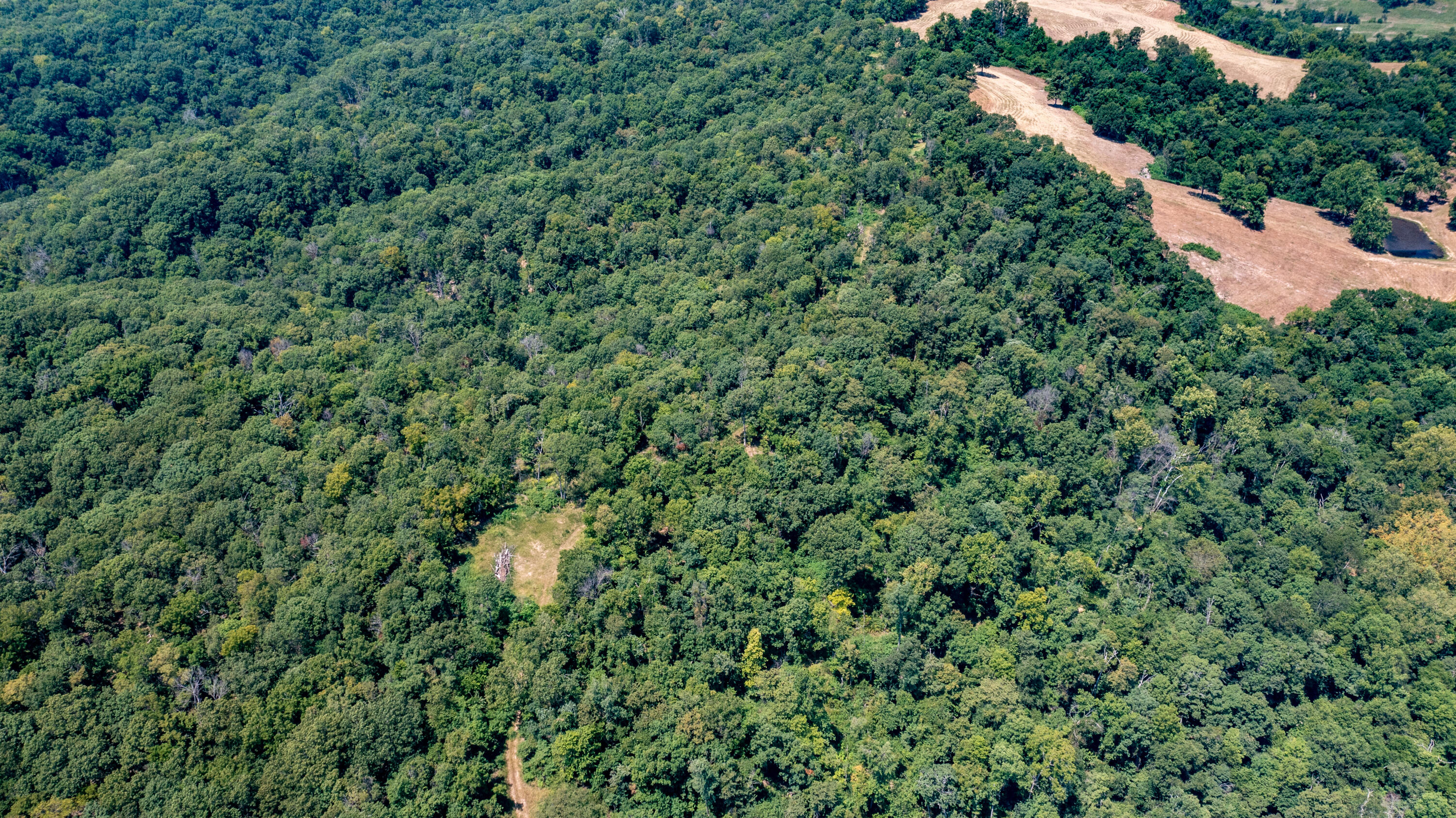 Photo 11 - Land for sale – 000  Neon Sky Drive  Pineville, MO