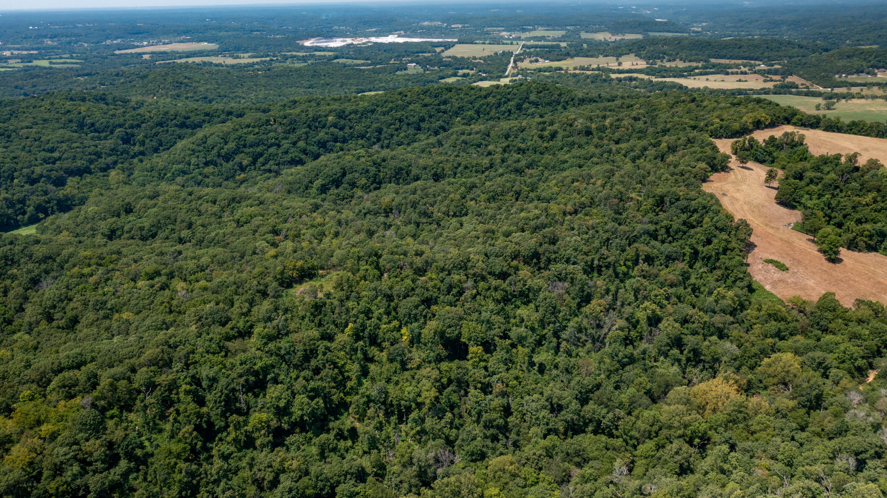 Photo 9 - Land for sale – 000  Neon Sky Drive  Pineville, MO