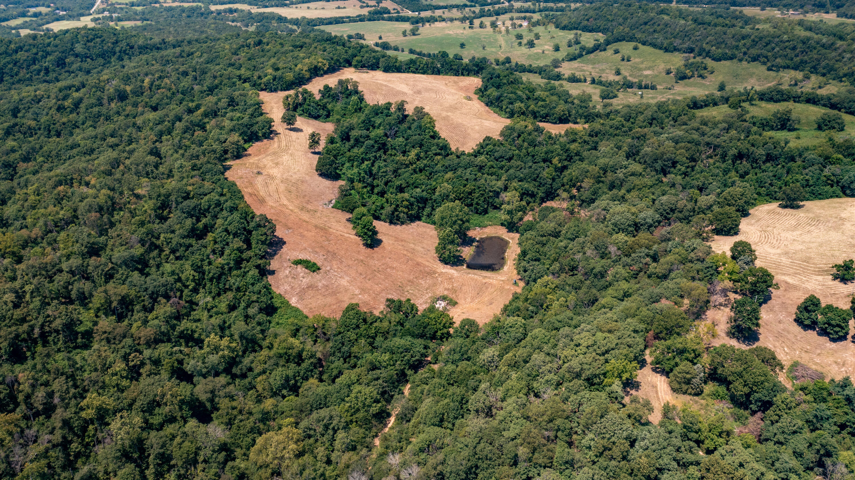 Photo 8 - Land for sale – 000  Neon Sky Drive  Pineville, MO