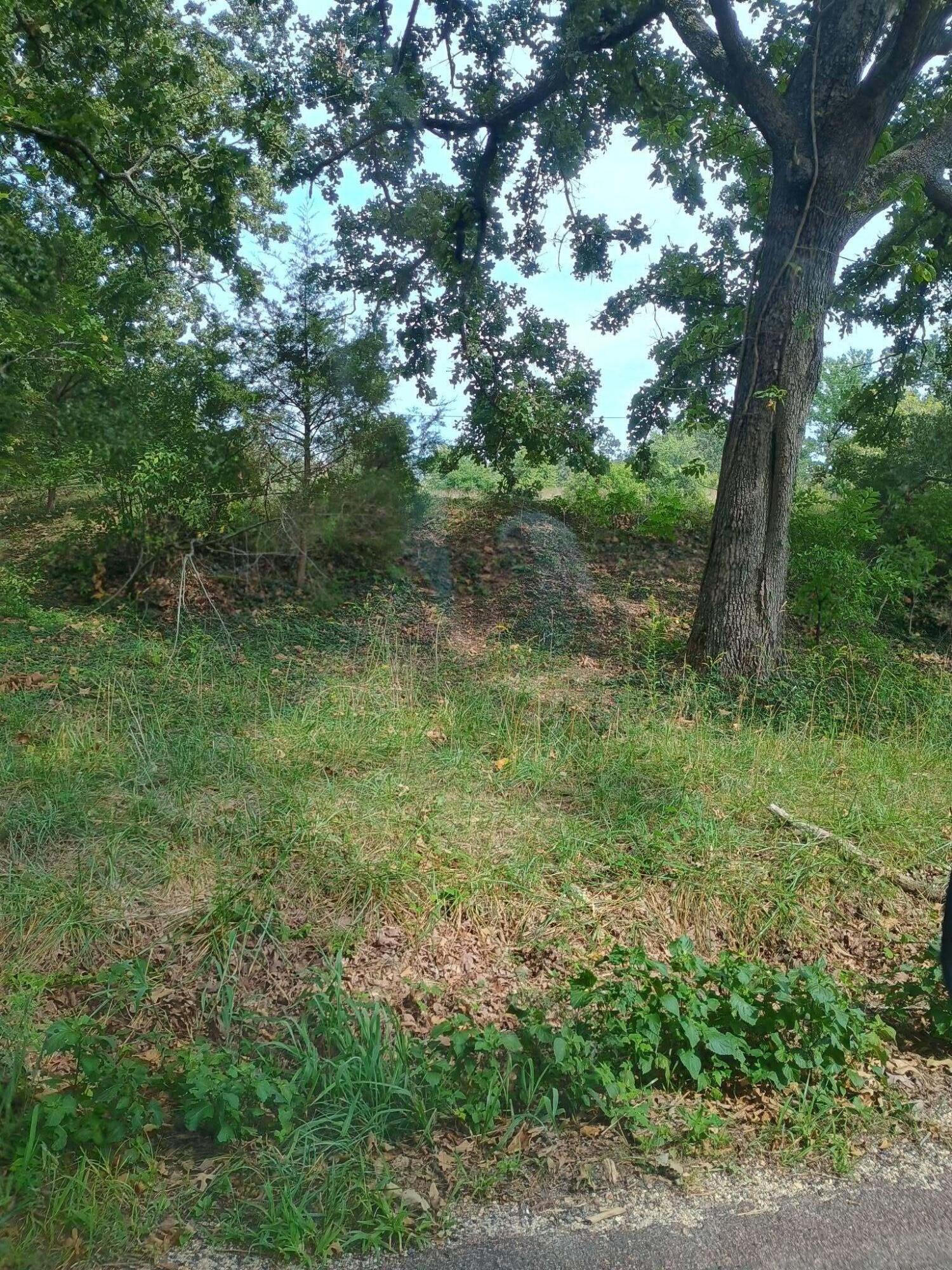 Photo 4 - Residential for sale – 621  County Road 3230   Salem, MO