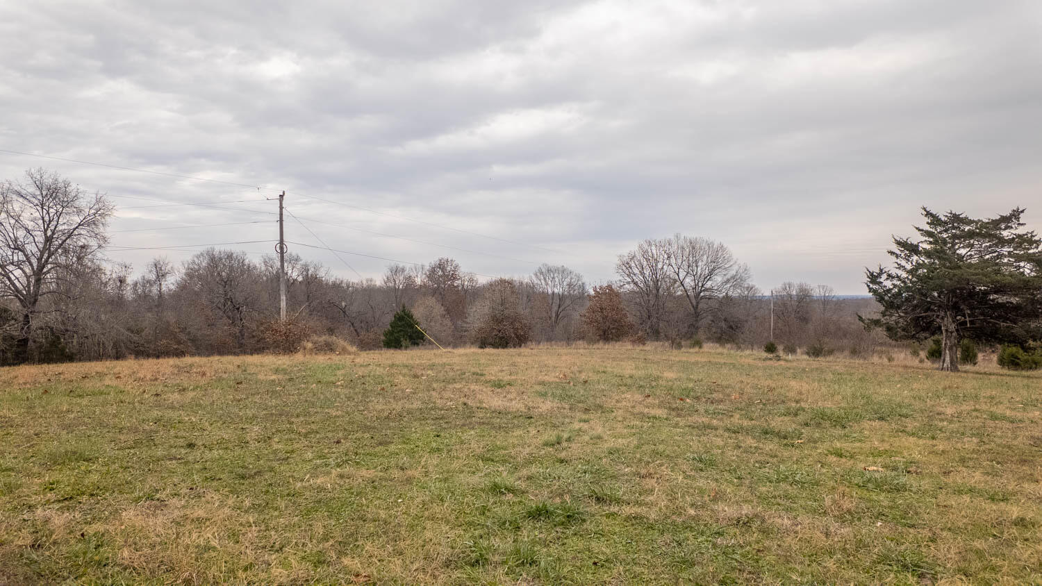 Photo 49 - Residential for sale – 667  County Road 364   Thayer, MO