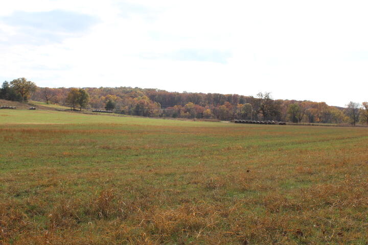 Photo 29 - Land for sale – Tbd  County Road 831   Gainesville, MO