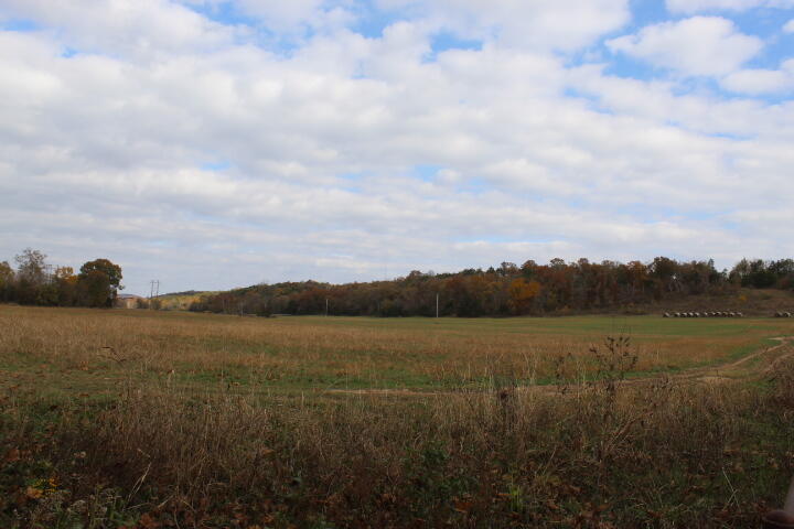Photo 38 - Land for sale – Tbd  County Road 831   Gainesville, MO