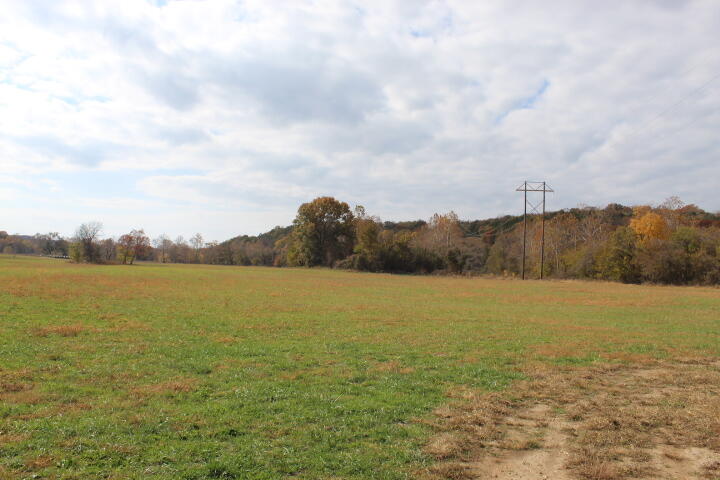Photo 20 - Land for sale – Tbd  County Road 831   Gainesville, MO