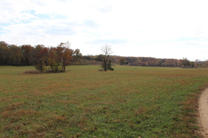 Photo 27 - Land for sale – Tbd  County Road 831   Gainesville, MO