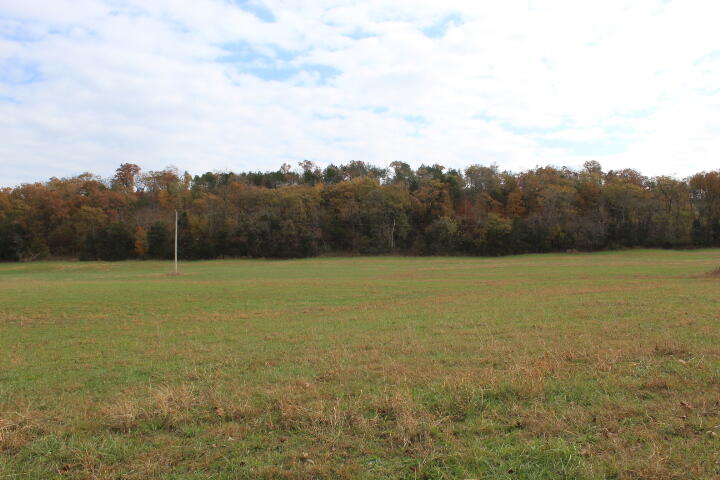 Photo 24 - Land for sale – Tbd  County Road 831   Gainesville, MO