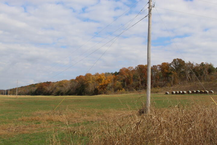 Photo 34 - Land for sale – Tbd  County Road 831   Gainesville, MO