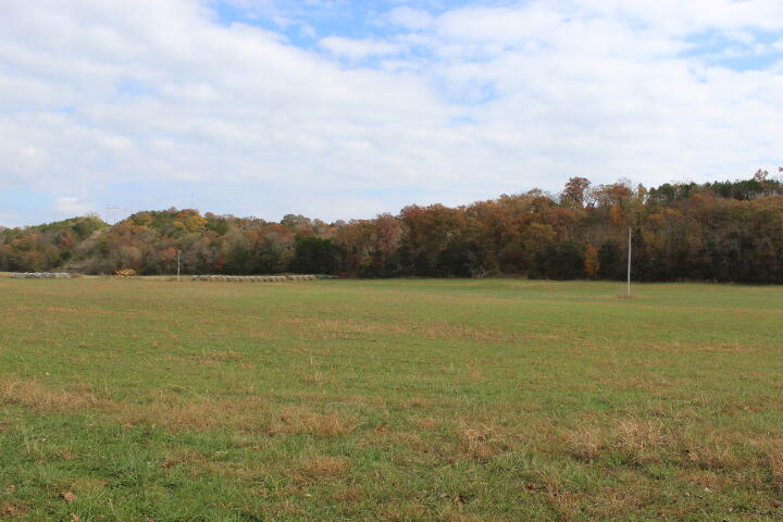 Photo 23 - Land for sale – Tbd  County Road 831   Gainesville, MO